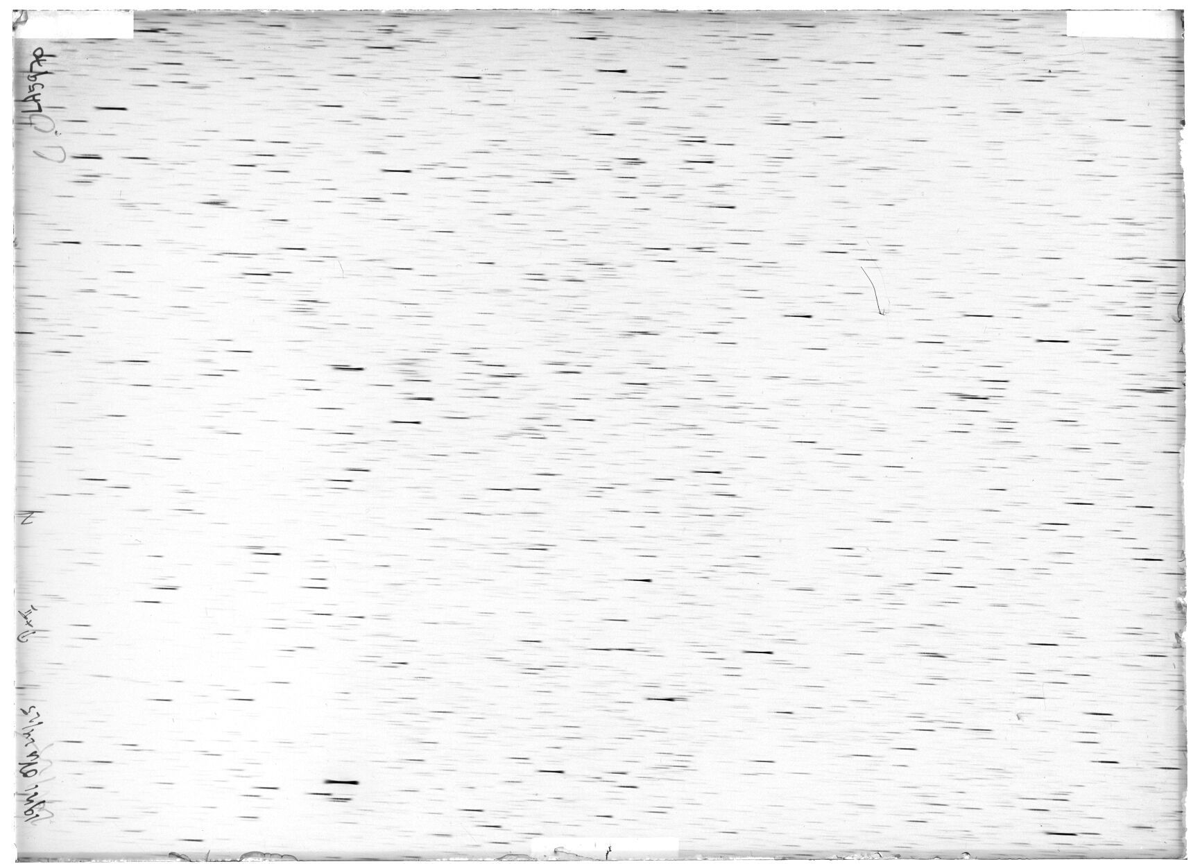 Scan LA05970