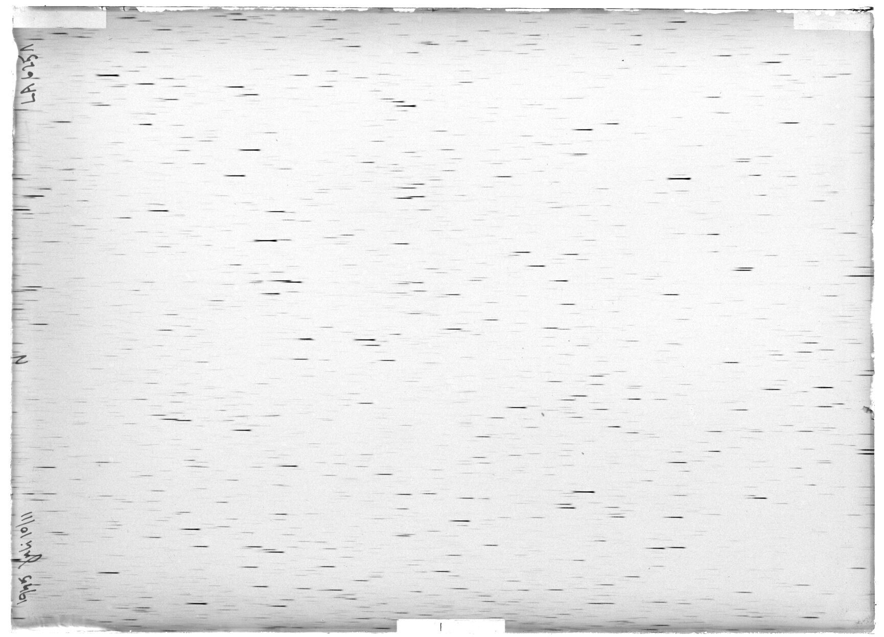 Scan LA06251