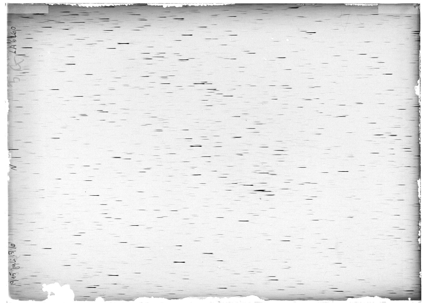 Scan LA06260