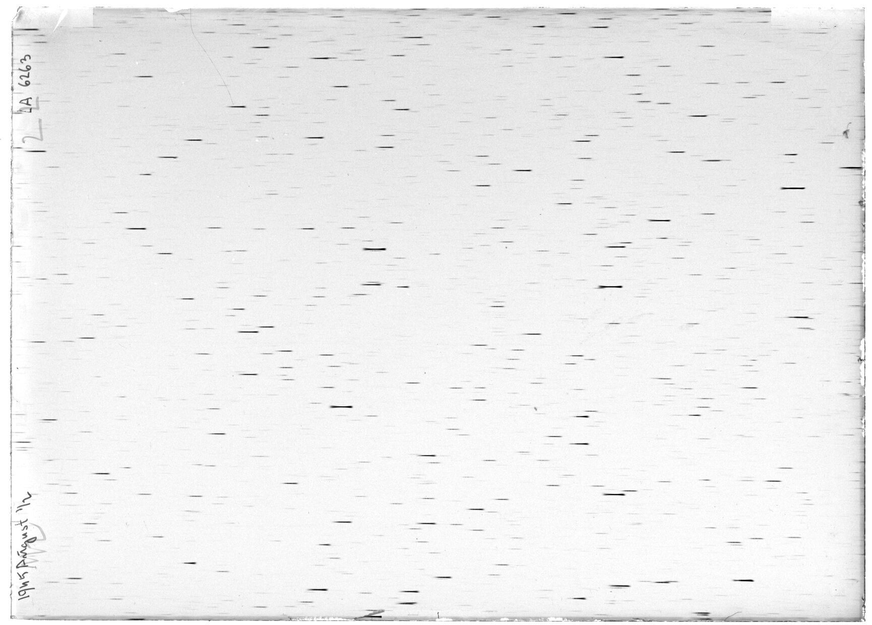 Scan LA06263