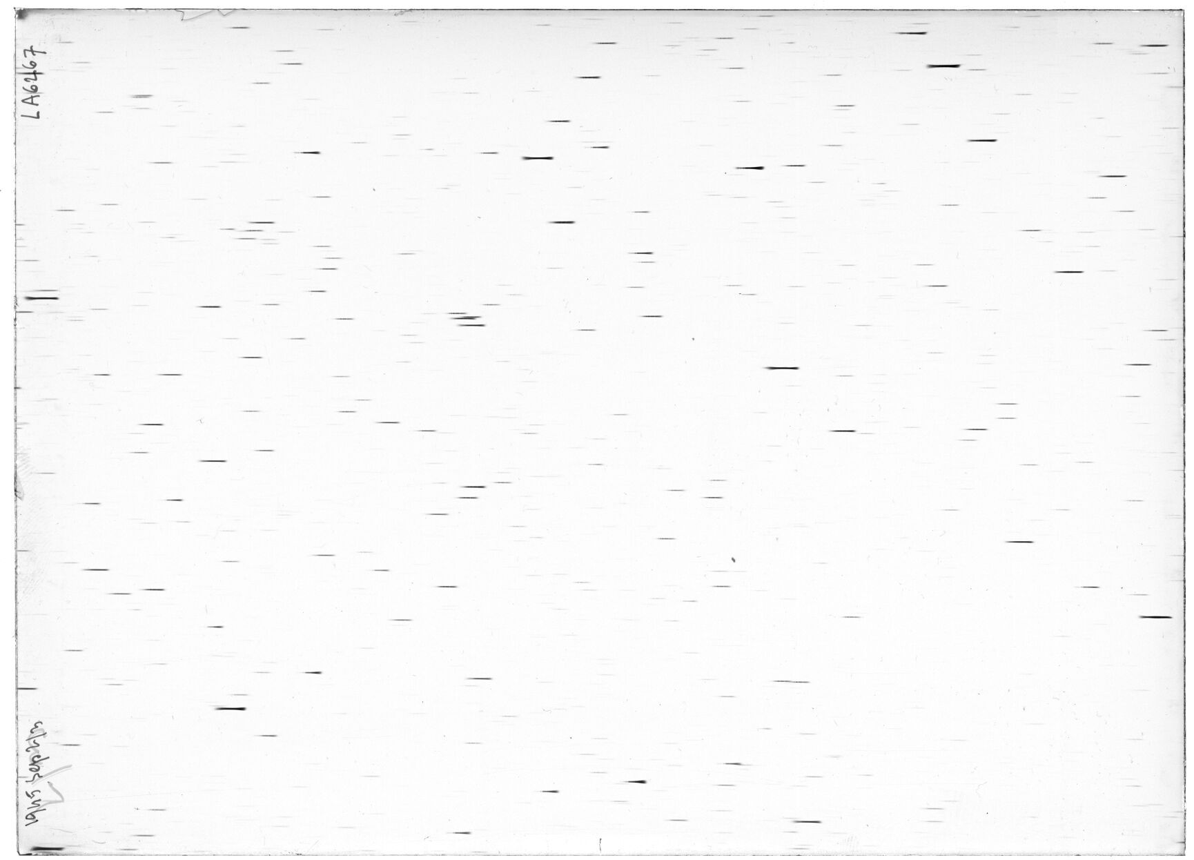 Scan LA06267