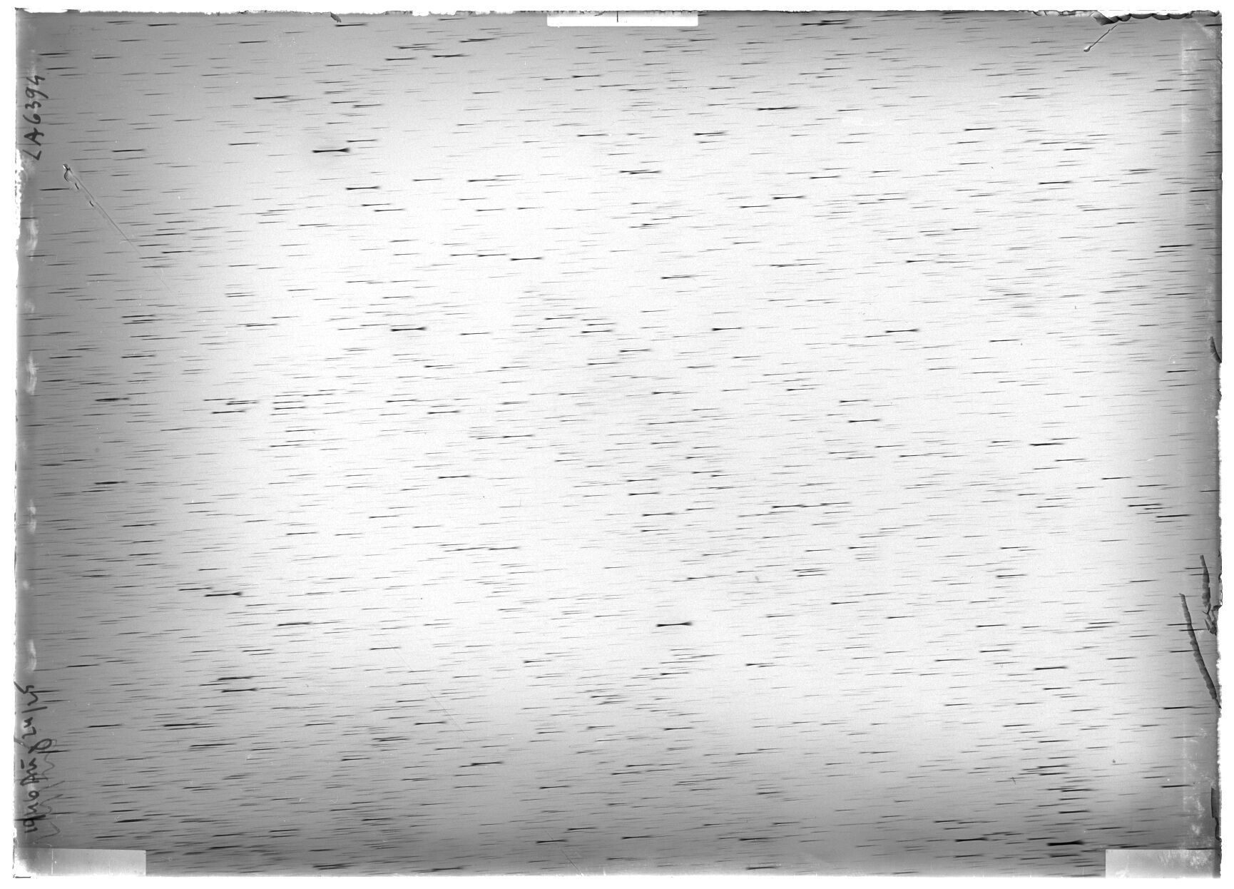 Scan LA06394