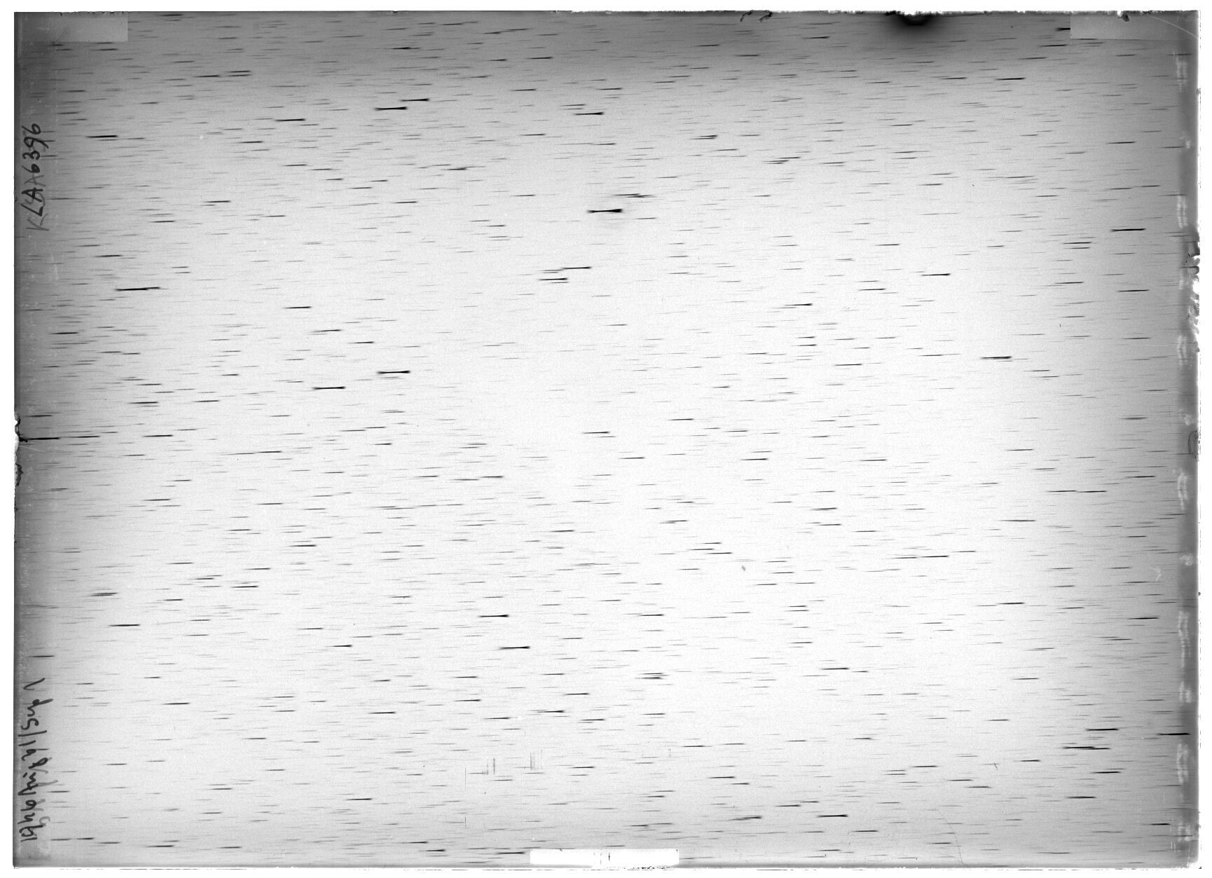 Scan LA06396