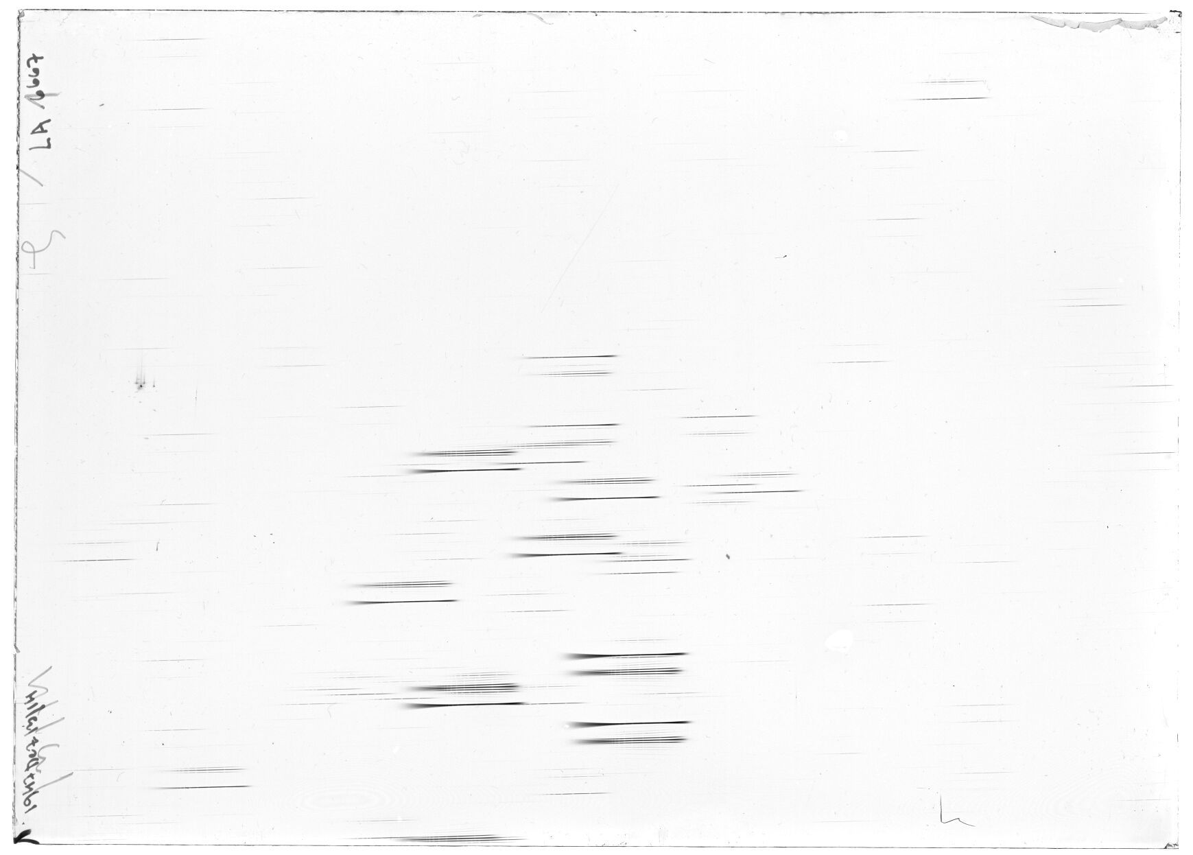 Scan LA06667