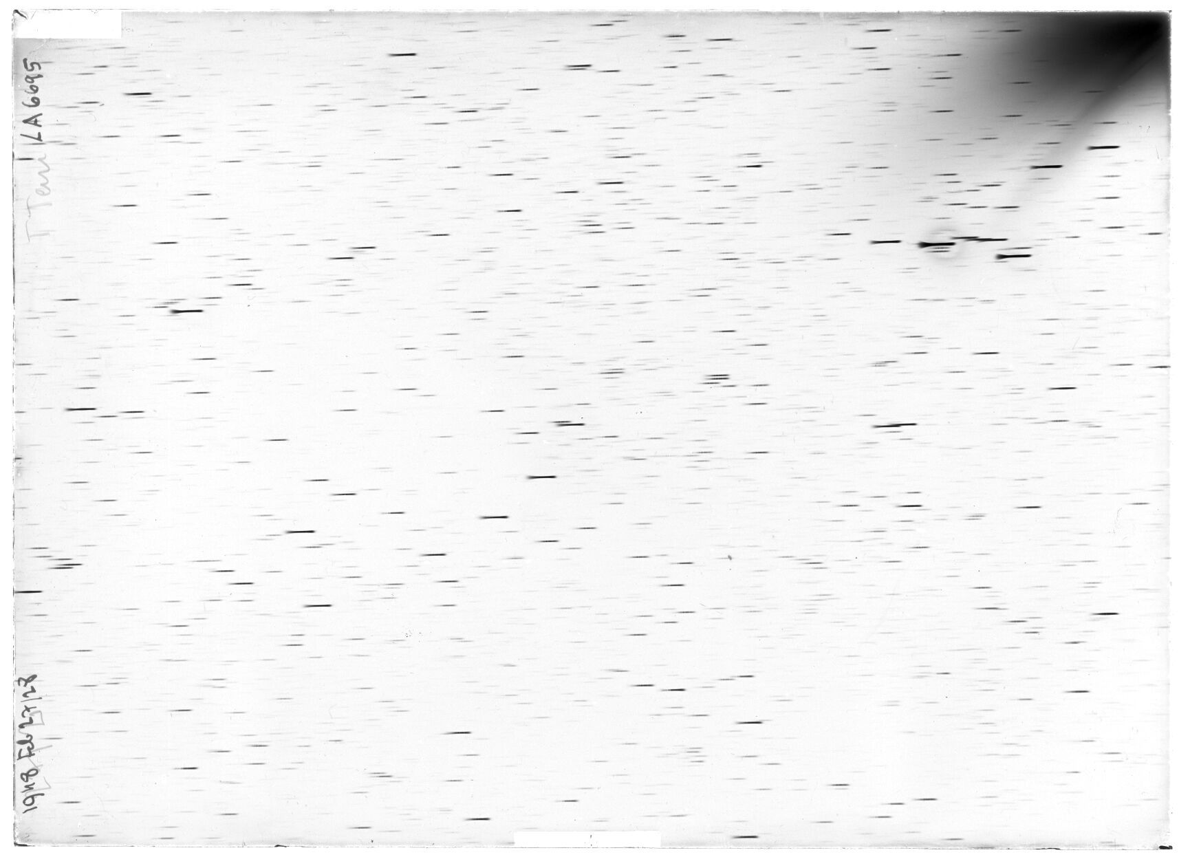 Scan LA06695
