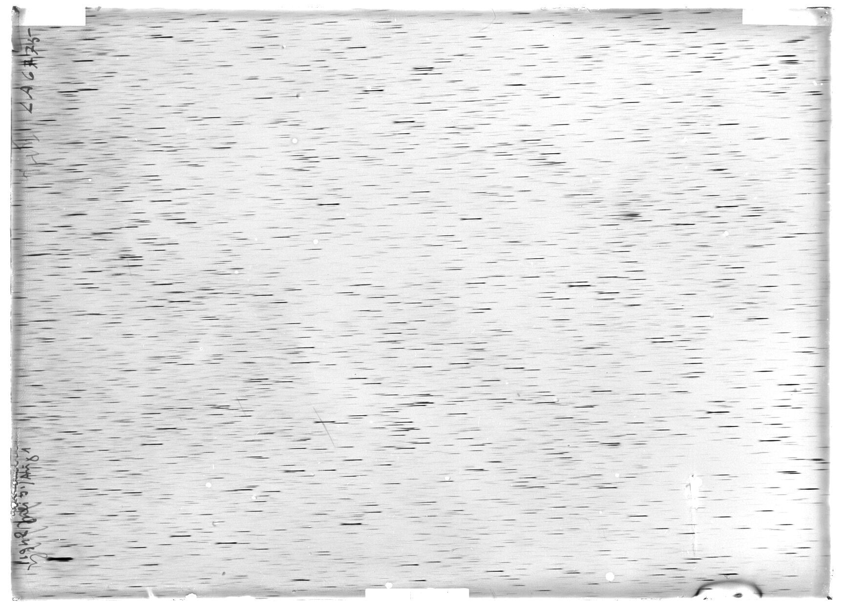 Scan LA06775