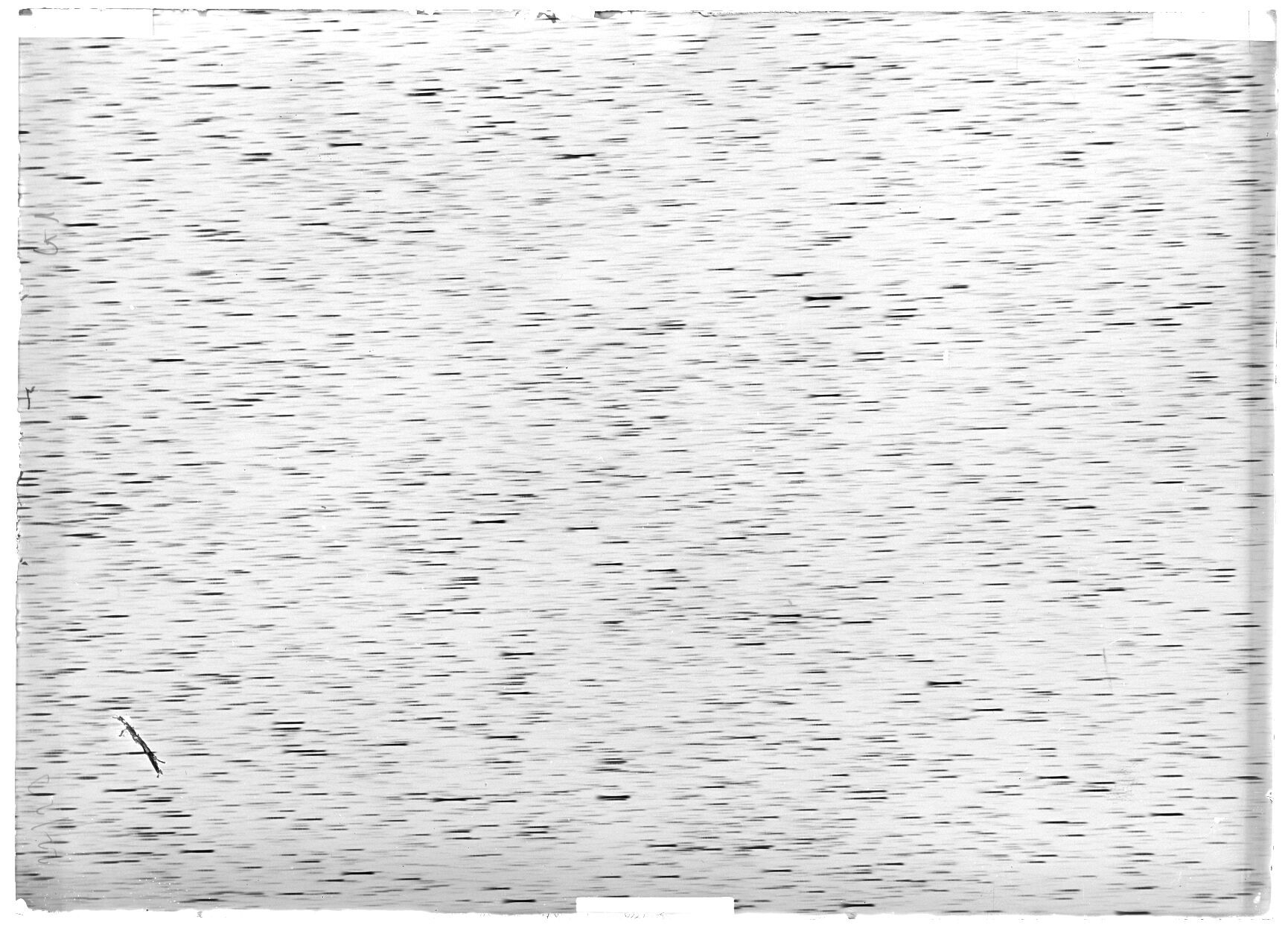 Scan LA07006