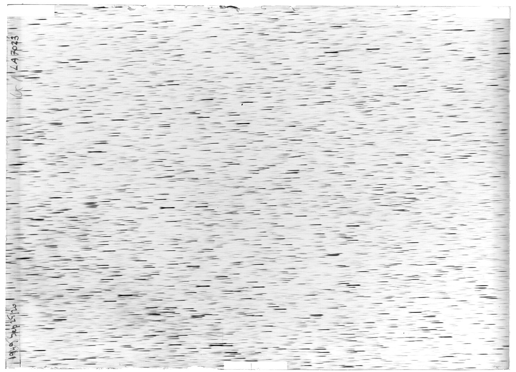 Scan LA07023