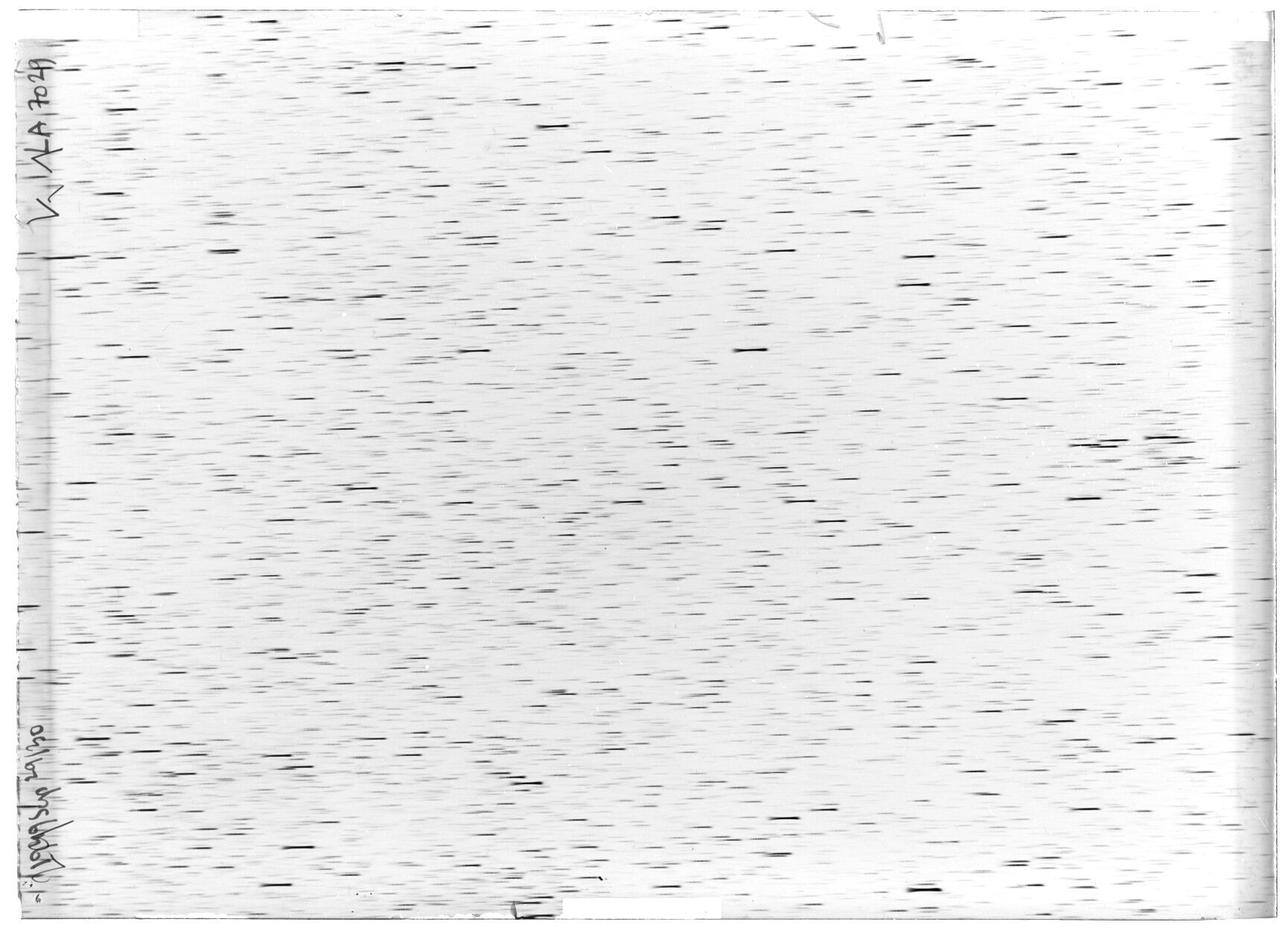 Scan LA07029