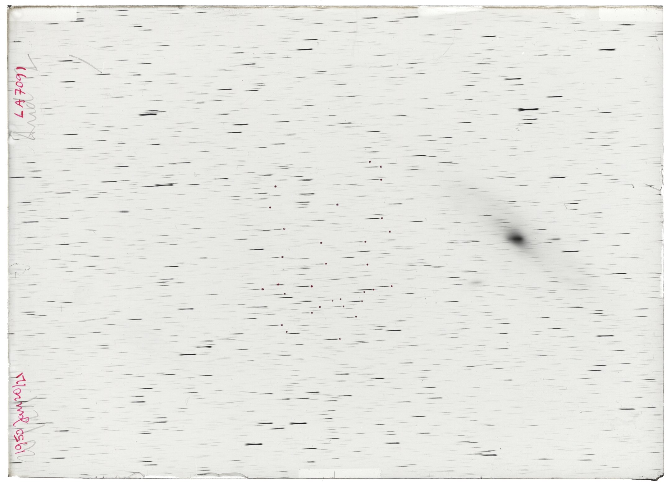 Scan LA07091