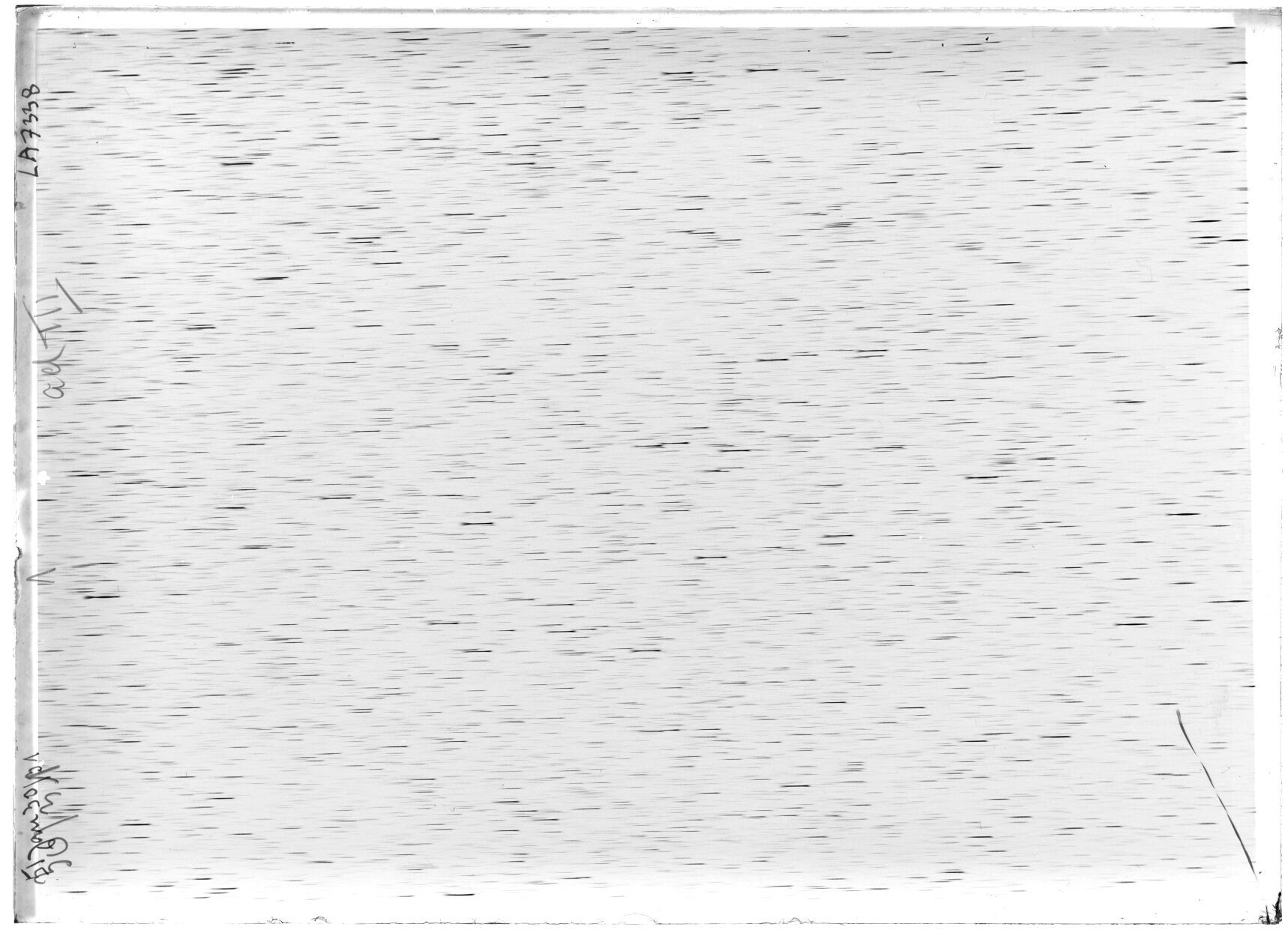 Scan LA07338