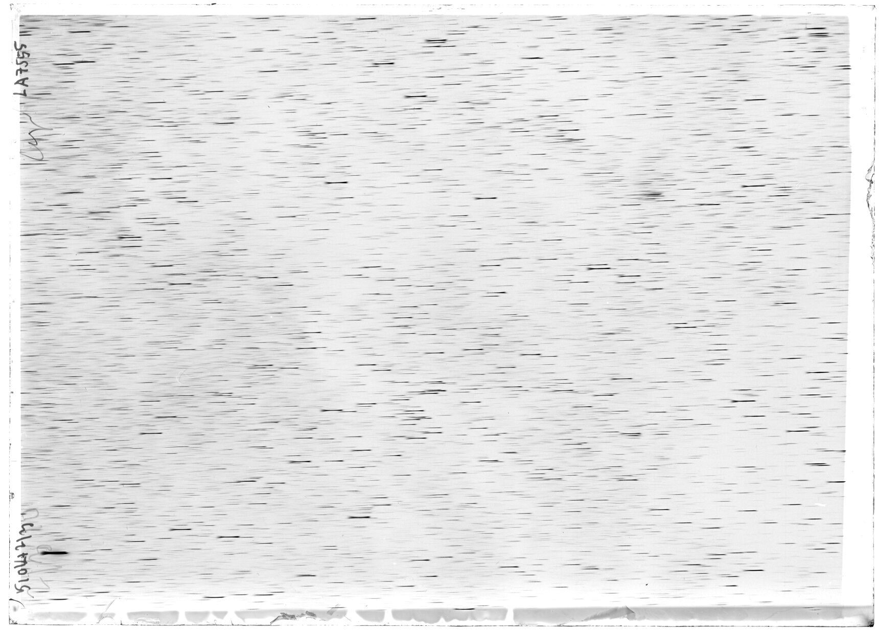 Scan LA07555