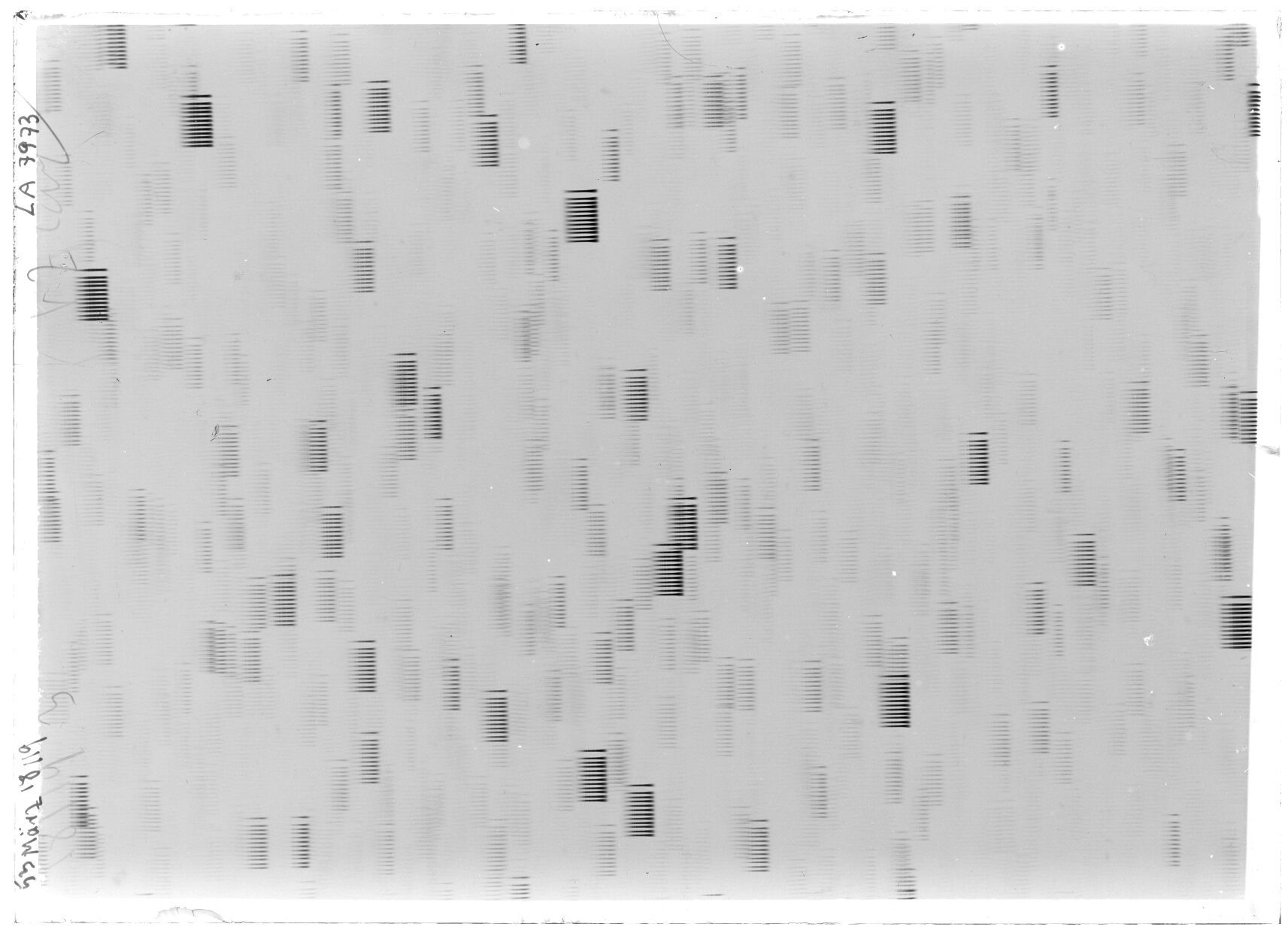 Scan LA07973