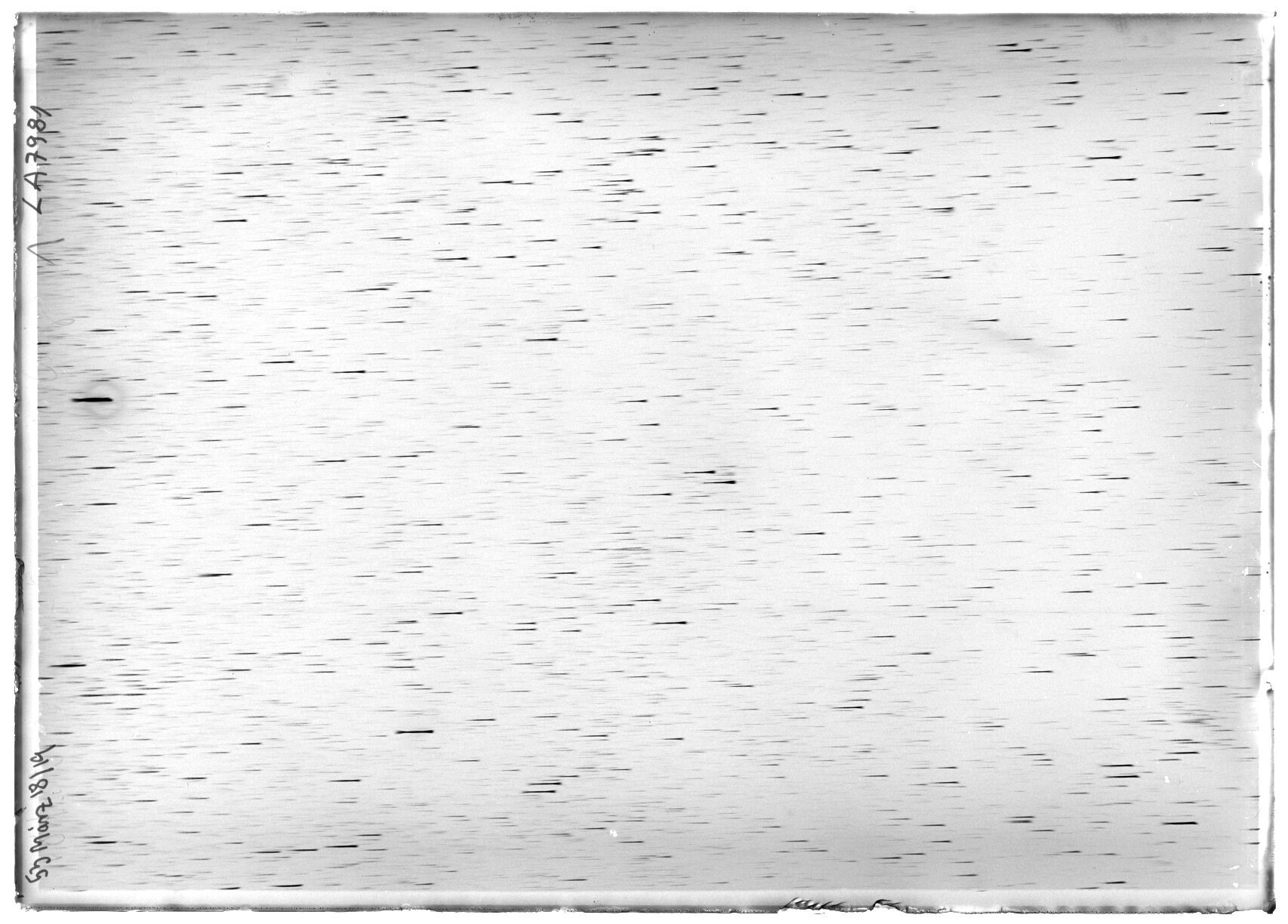 Scan LA07981