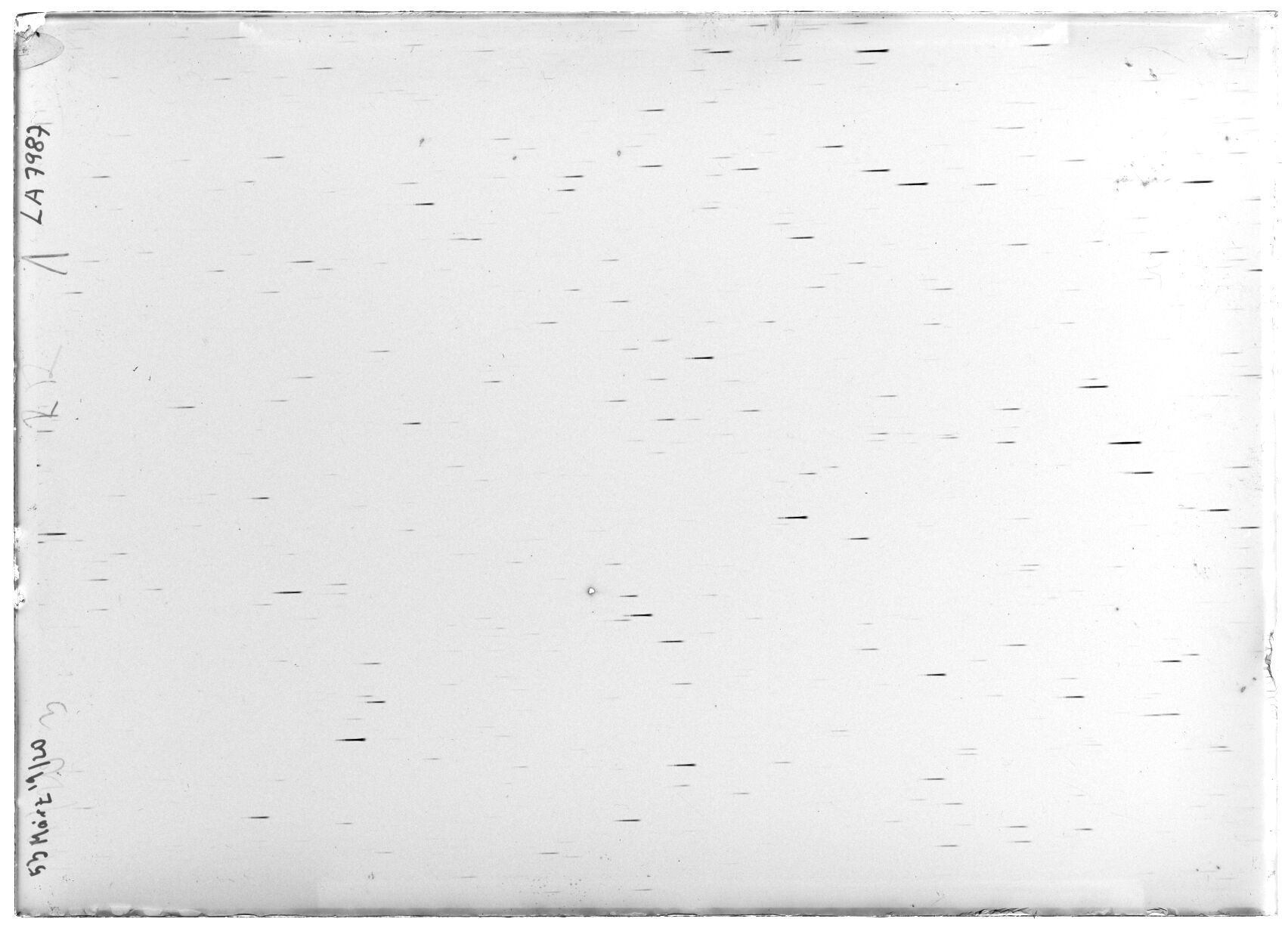 Scan LA07987