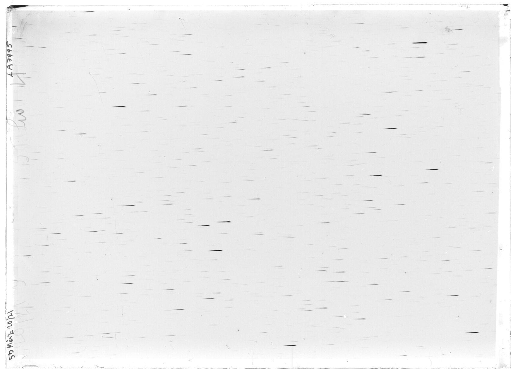 Scan LA07995