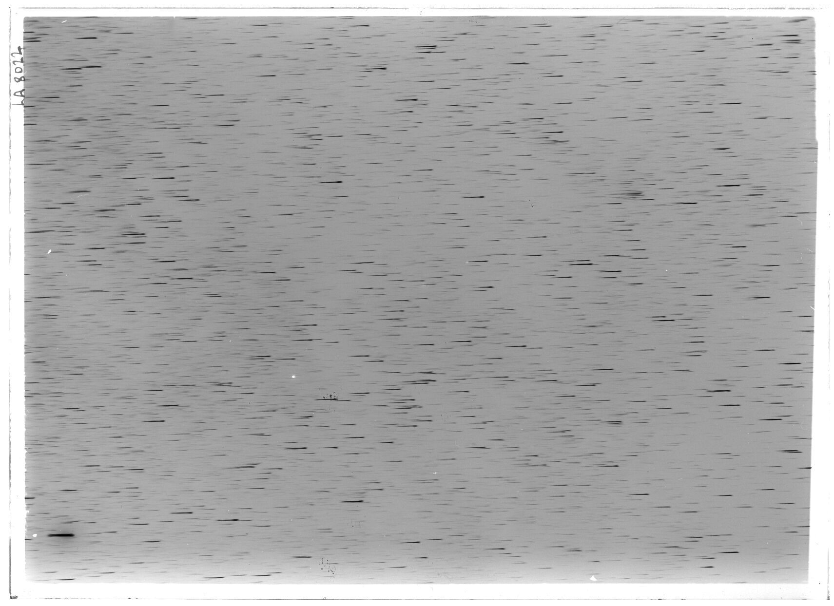 Scan LA08022