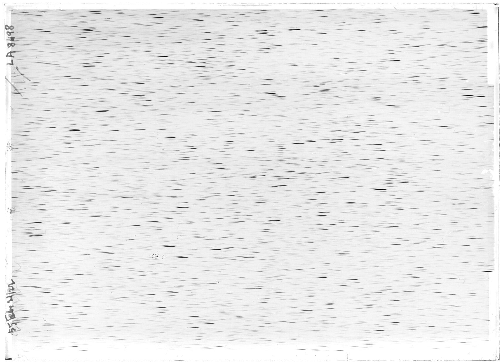 Scan LA08498