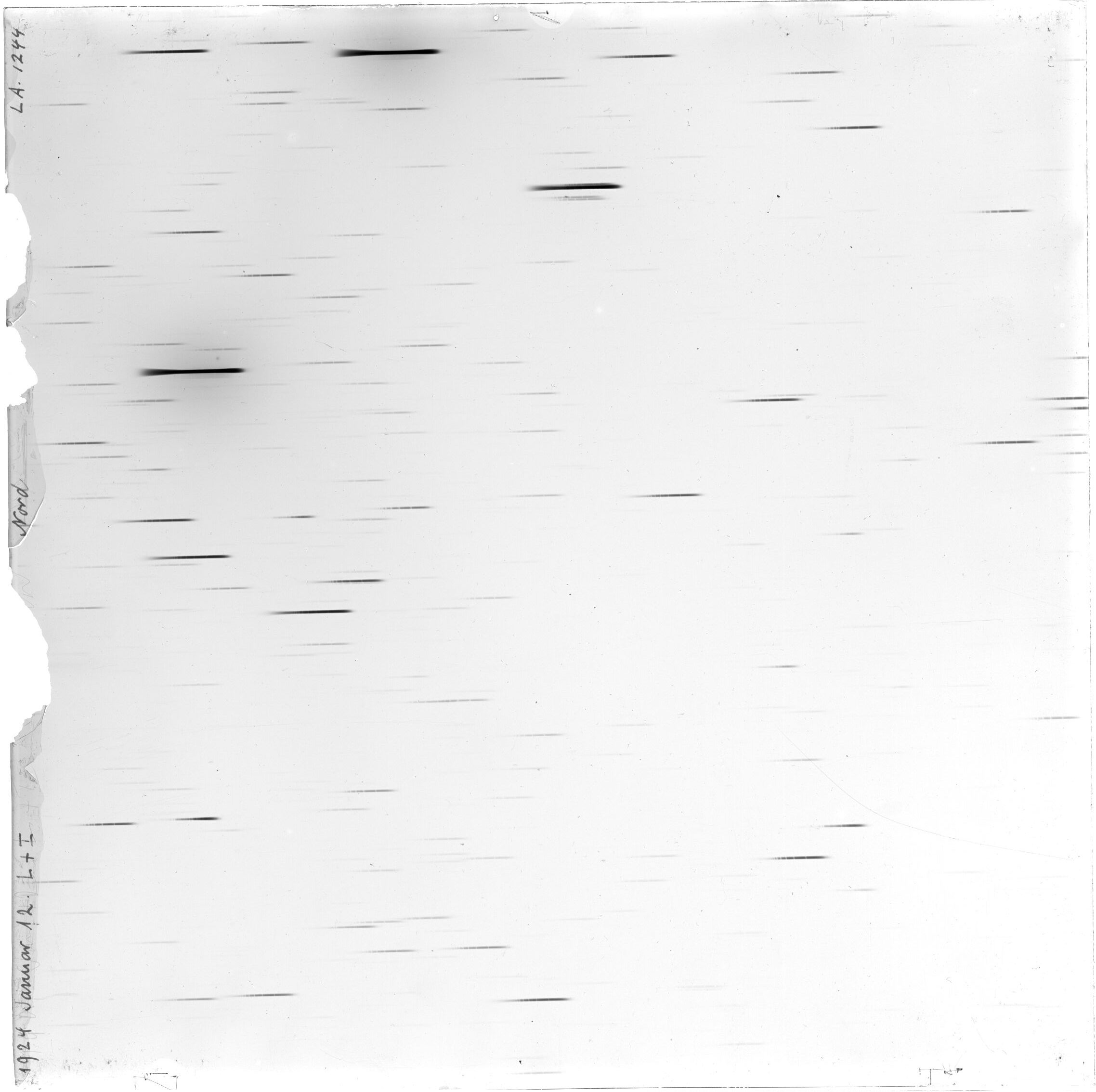 Scan LA01244