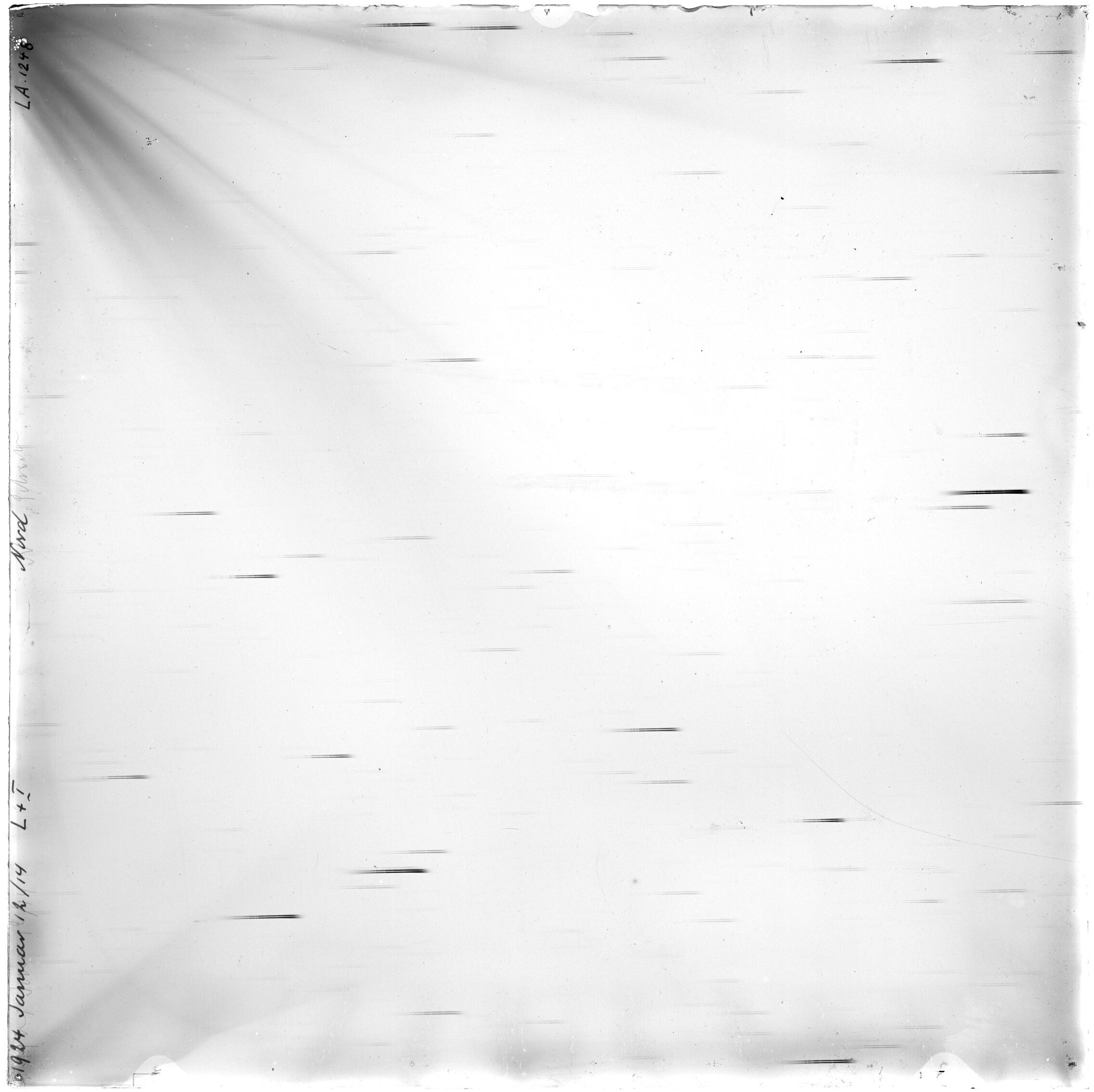 Scan LA01248