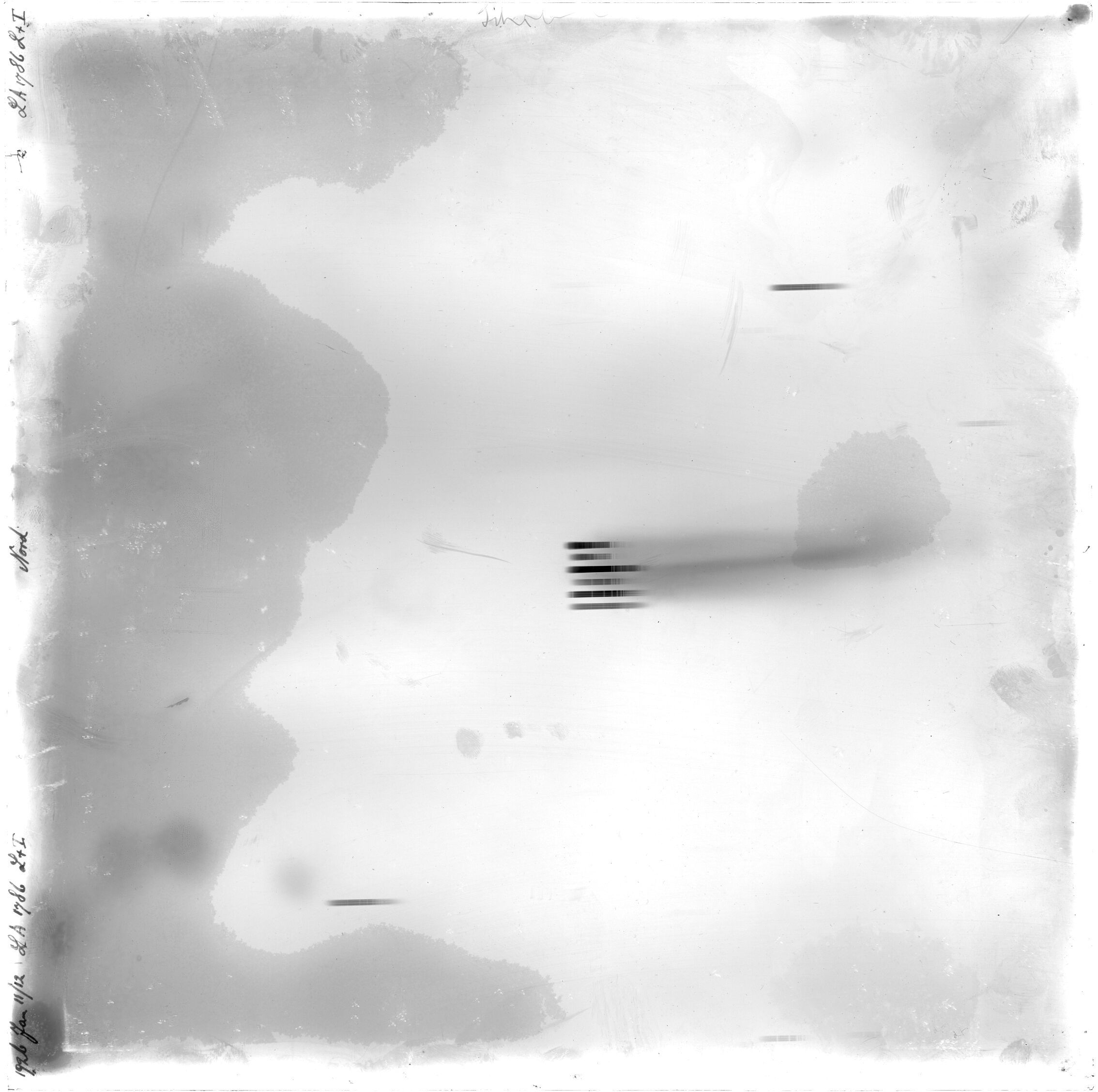 Scan LA01786