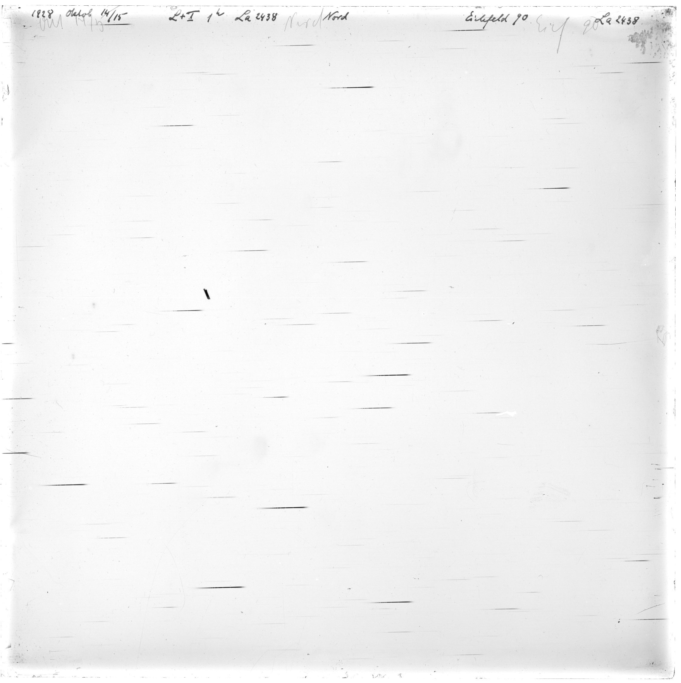 Scan LA02438