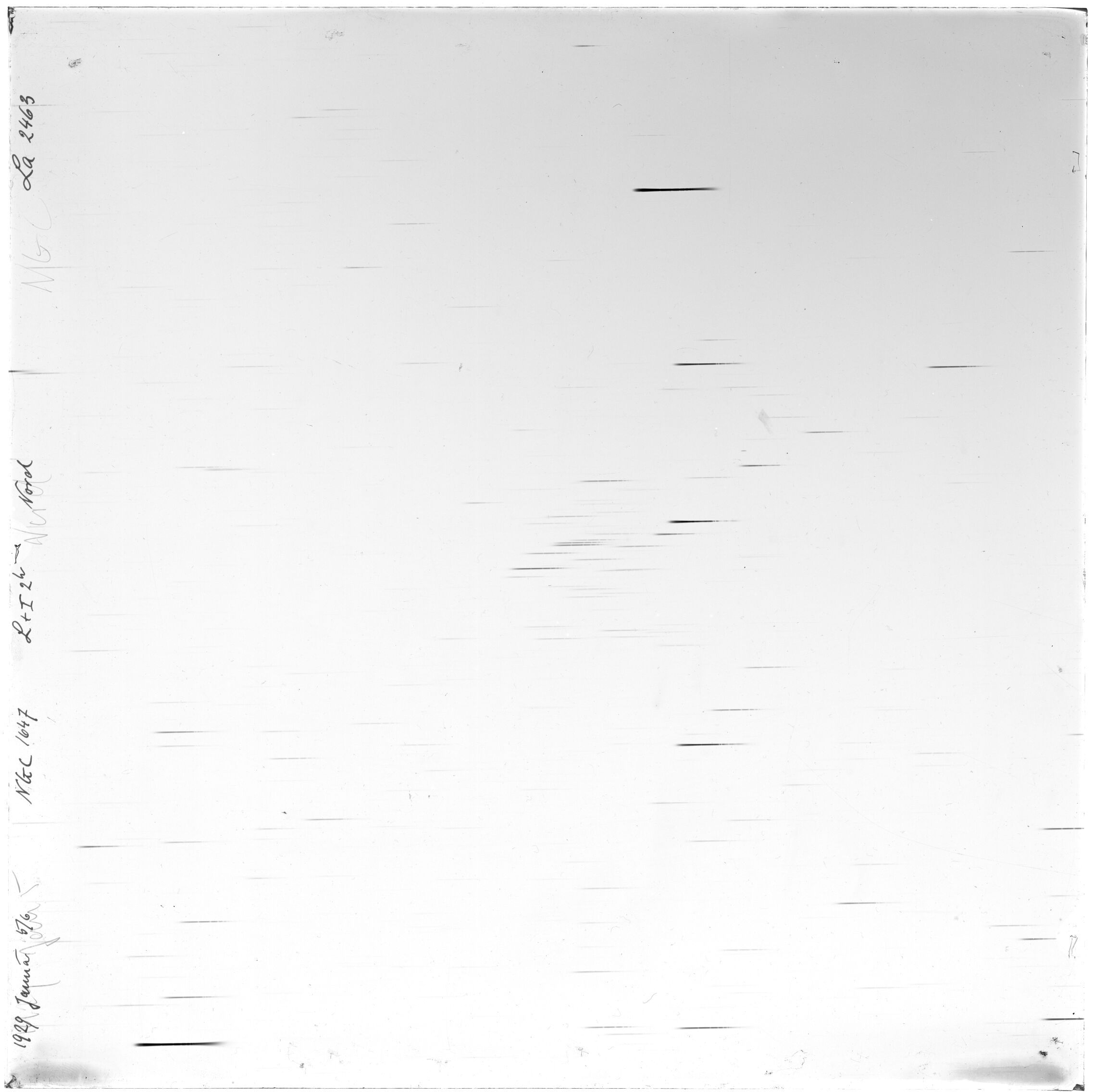 Scan LA02463