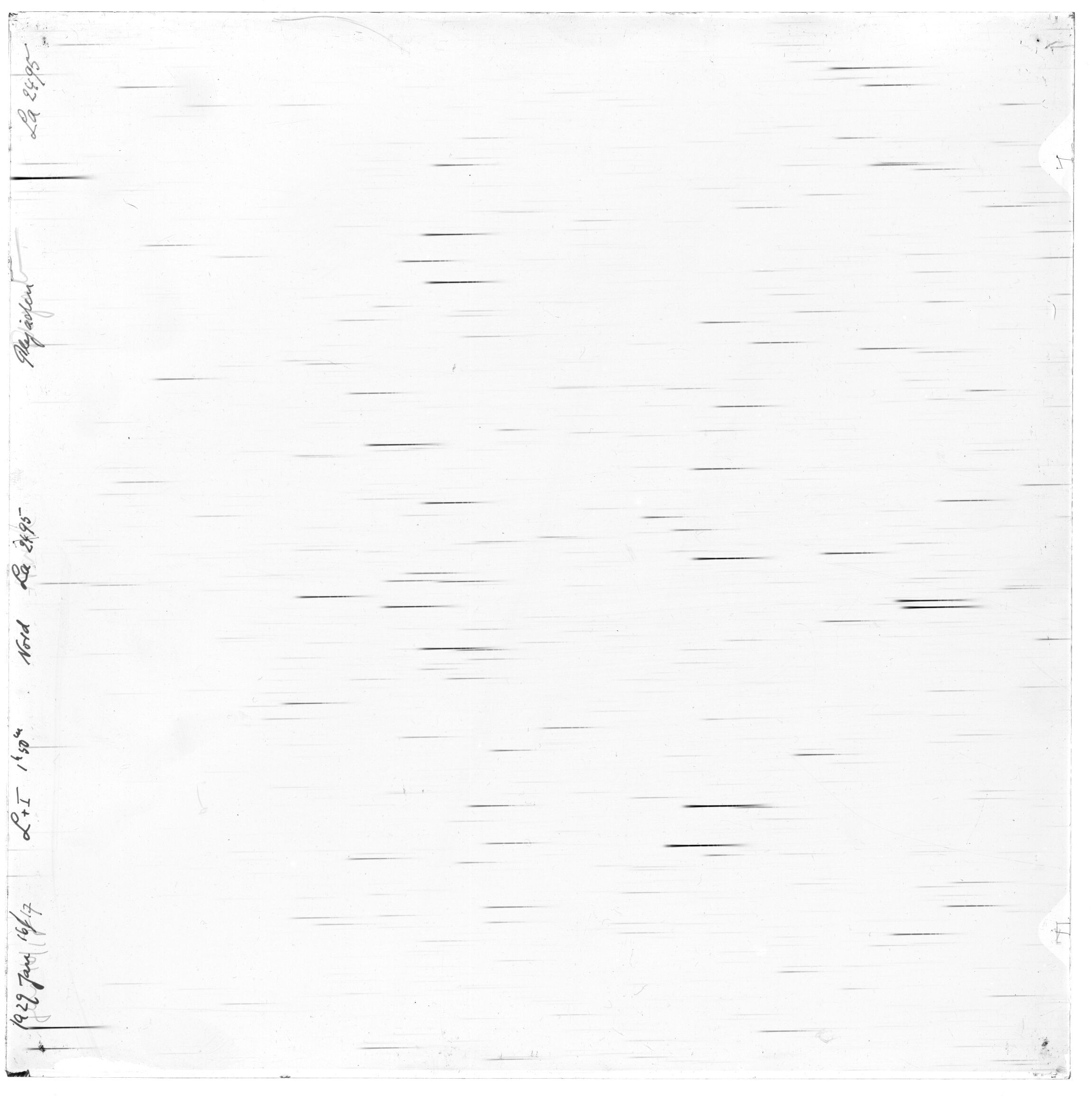 Scan LA02495
