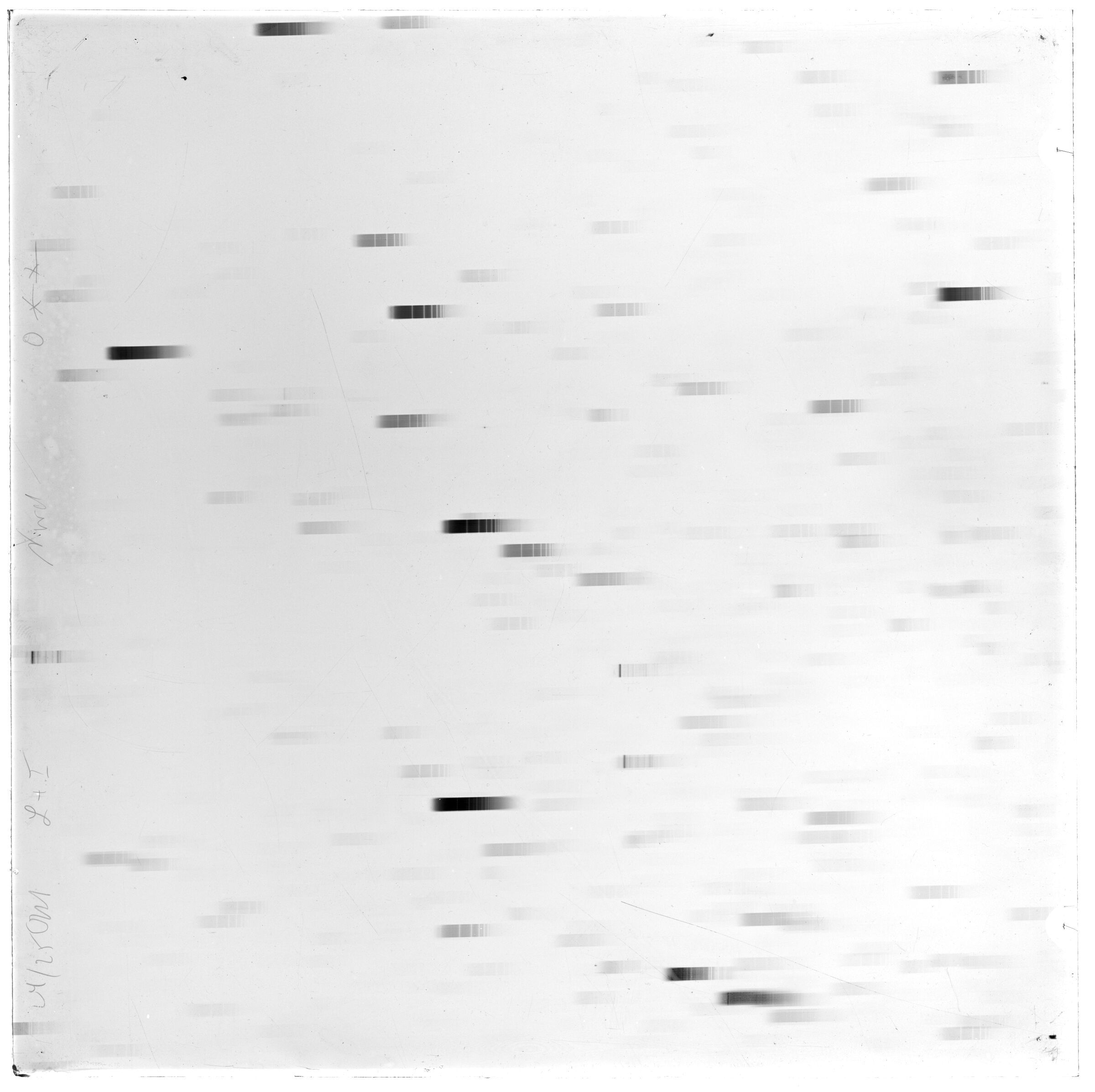 Scan LA02779