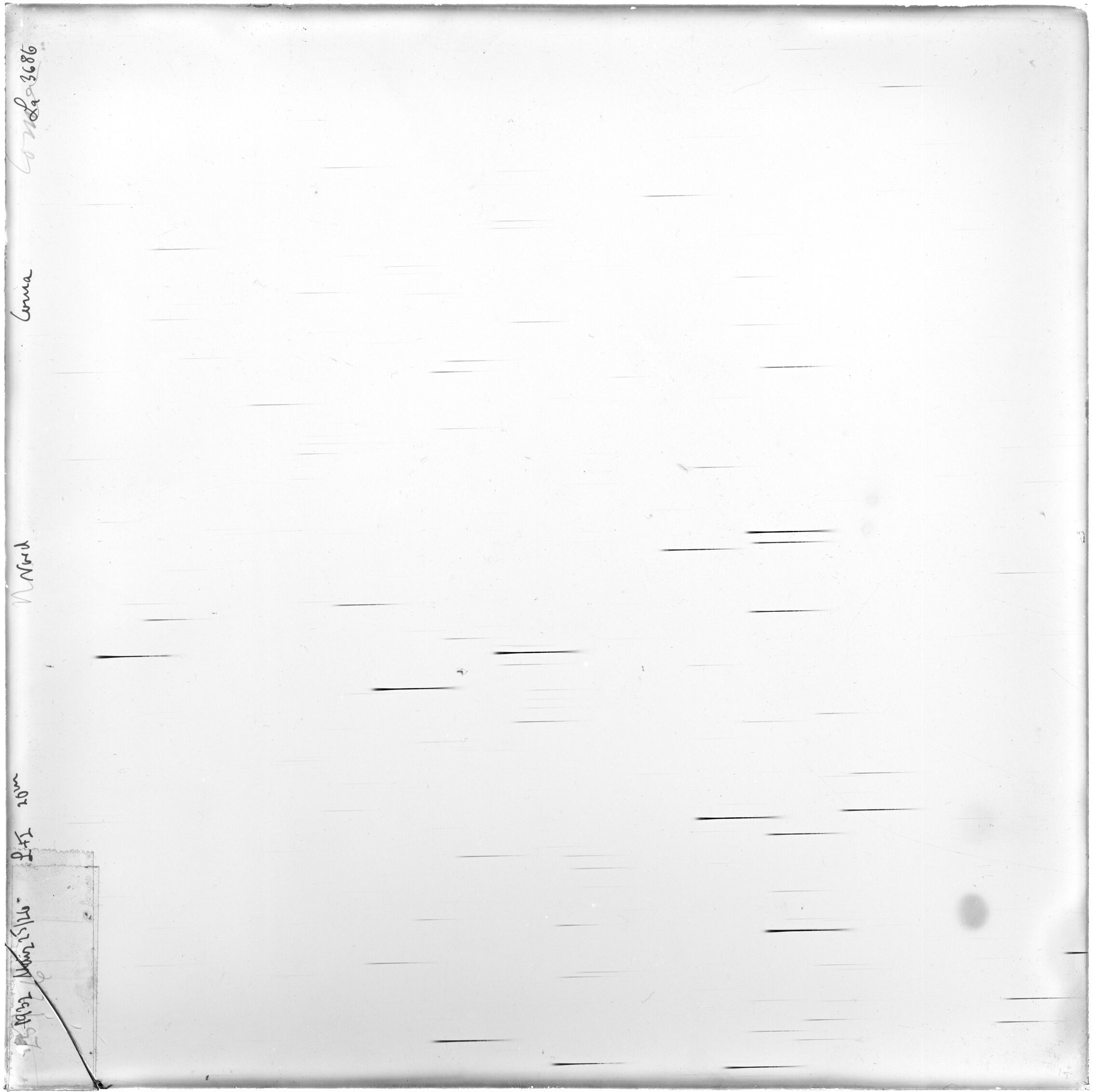 Scan LA03686