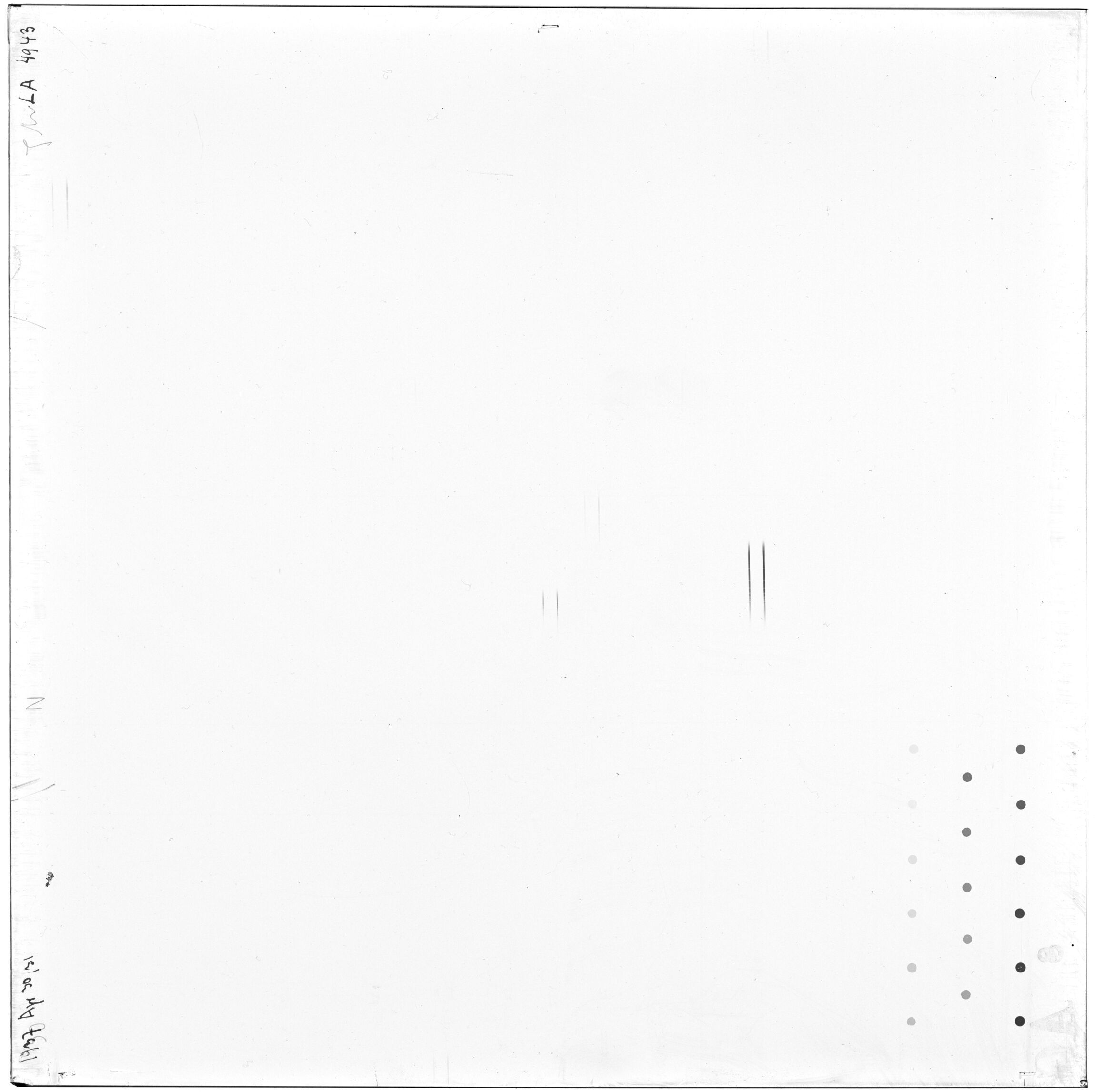 Scan LA04943