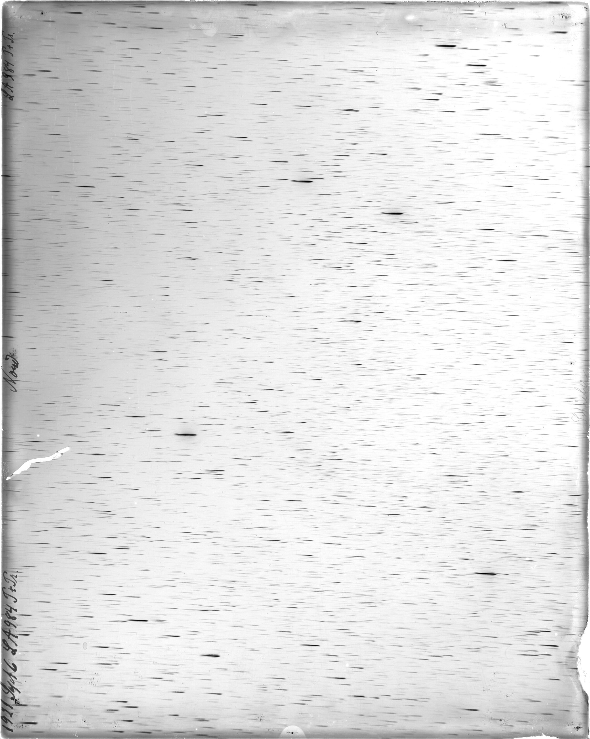 Scan LA00984