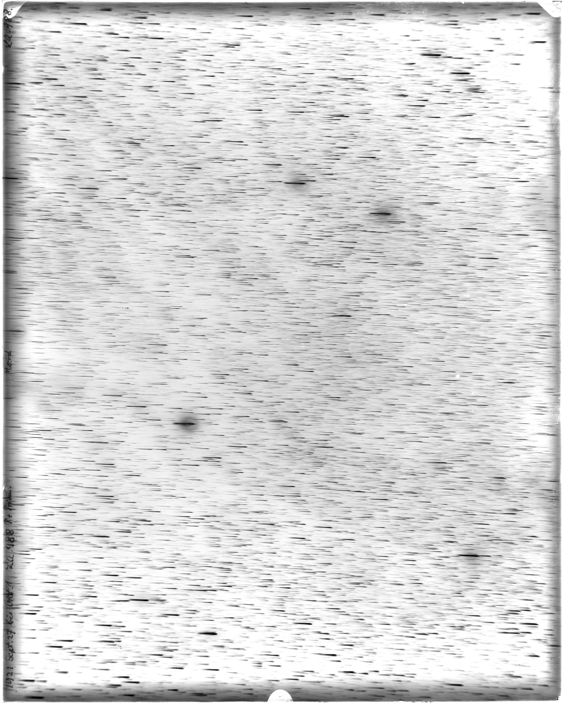 Scan LA00988