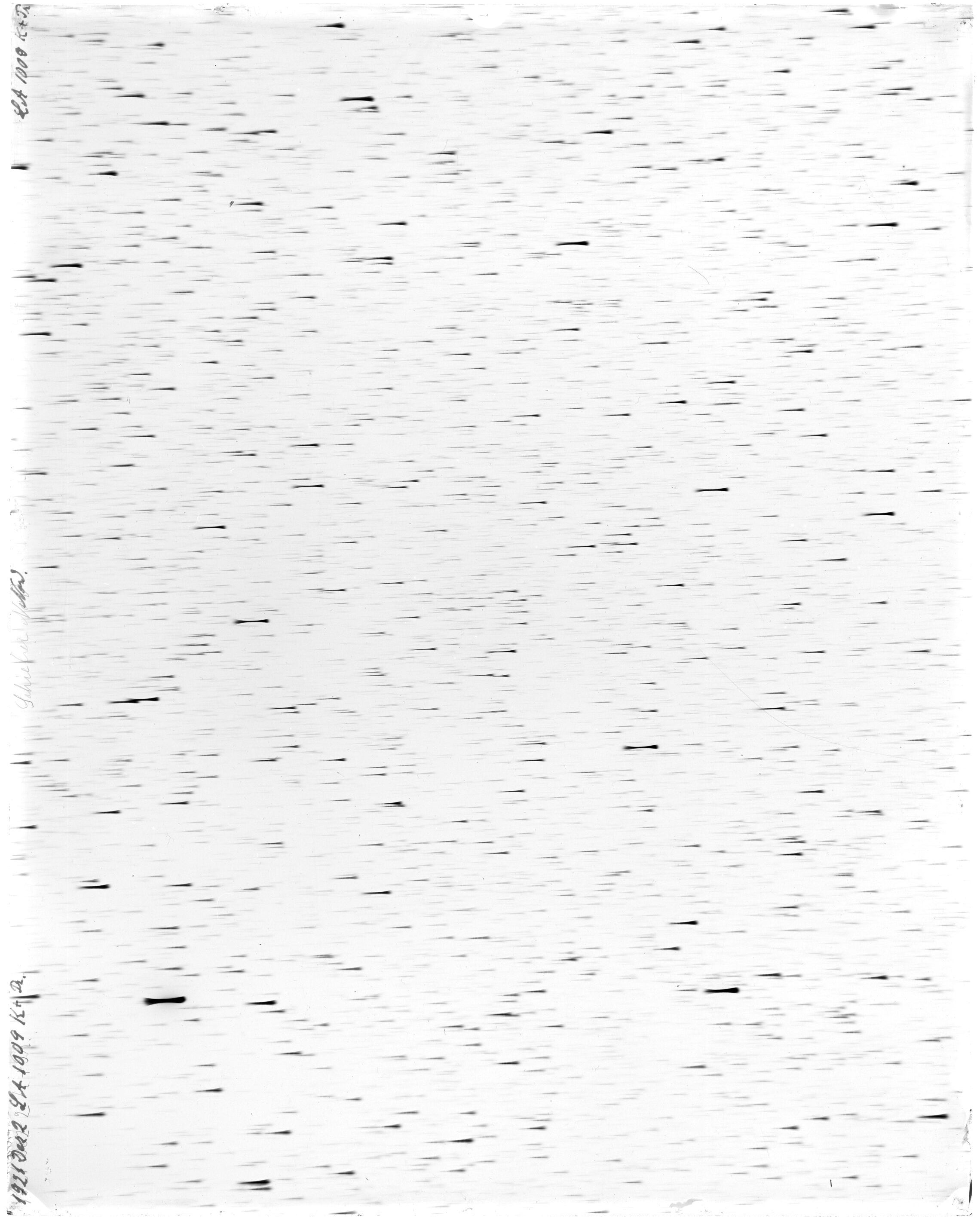 Scan LA01009