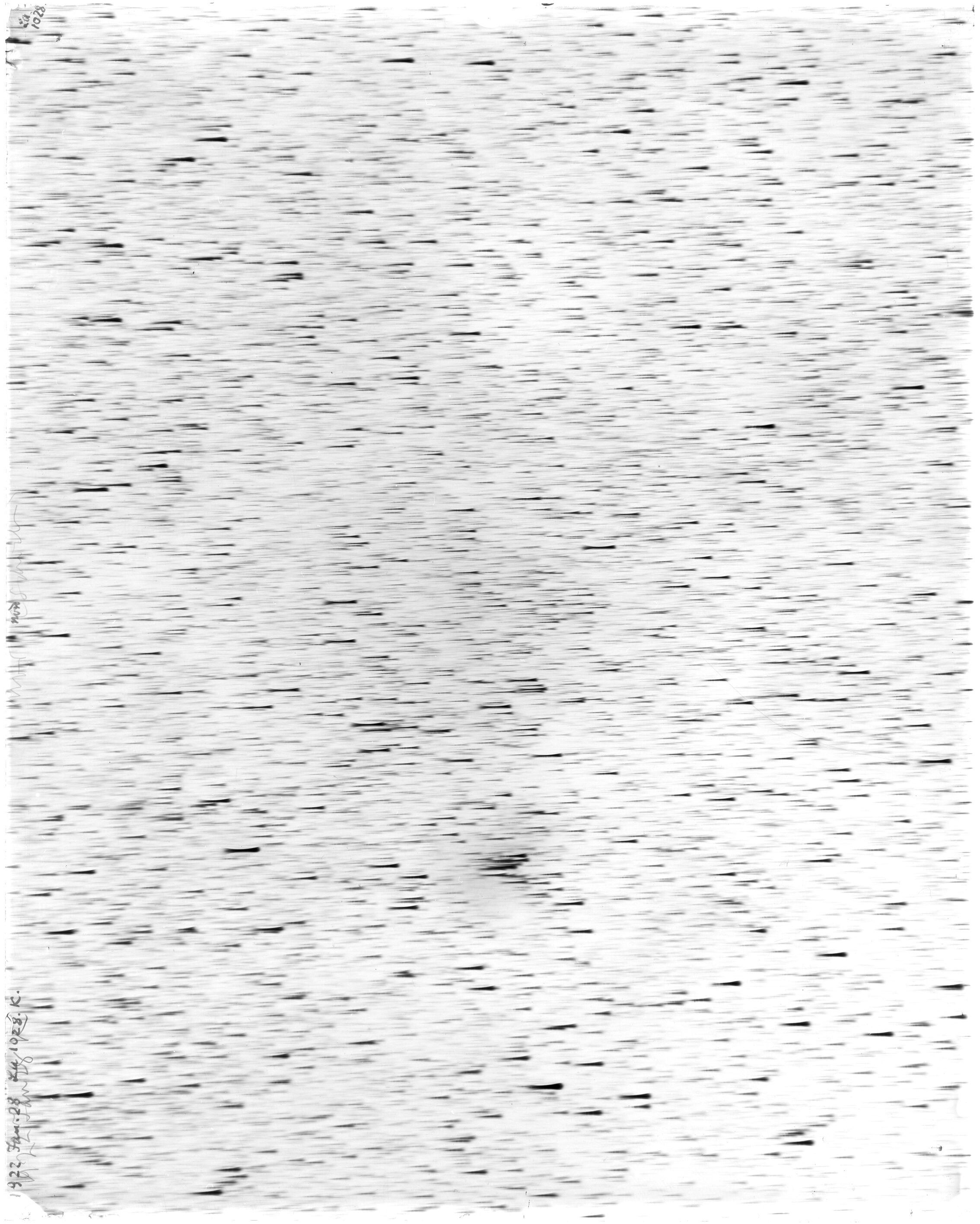 Scan LA01028