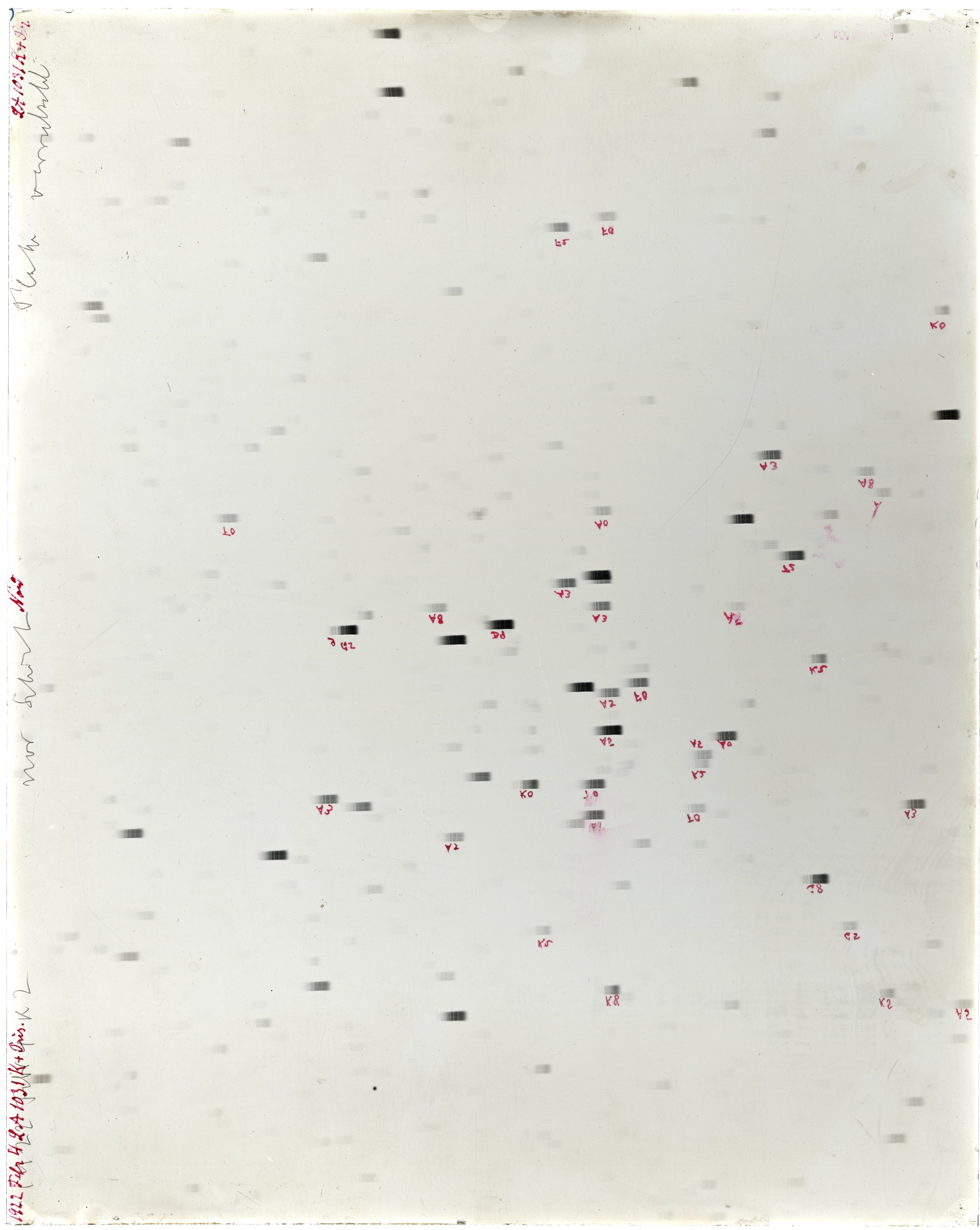Scan LA01031