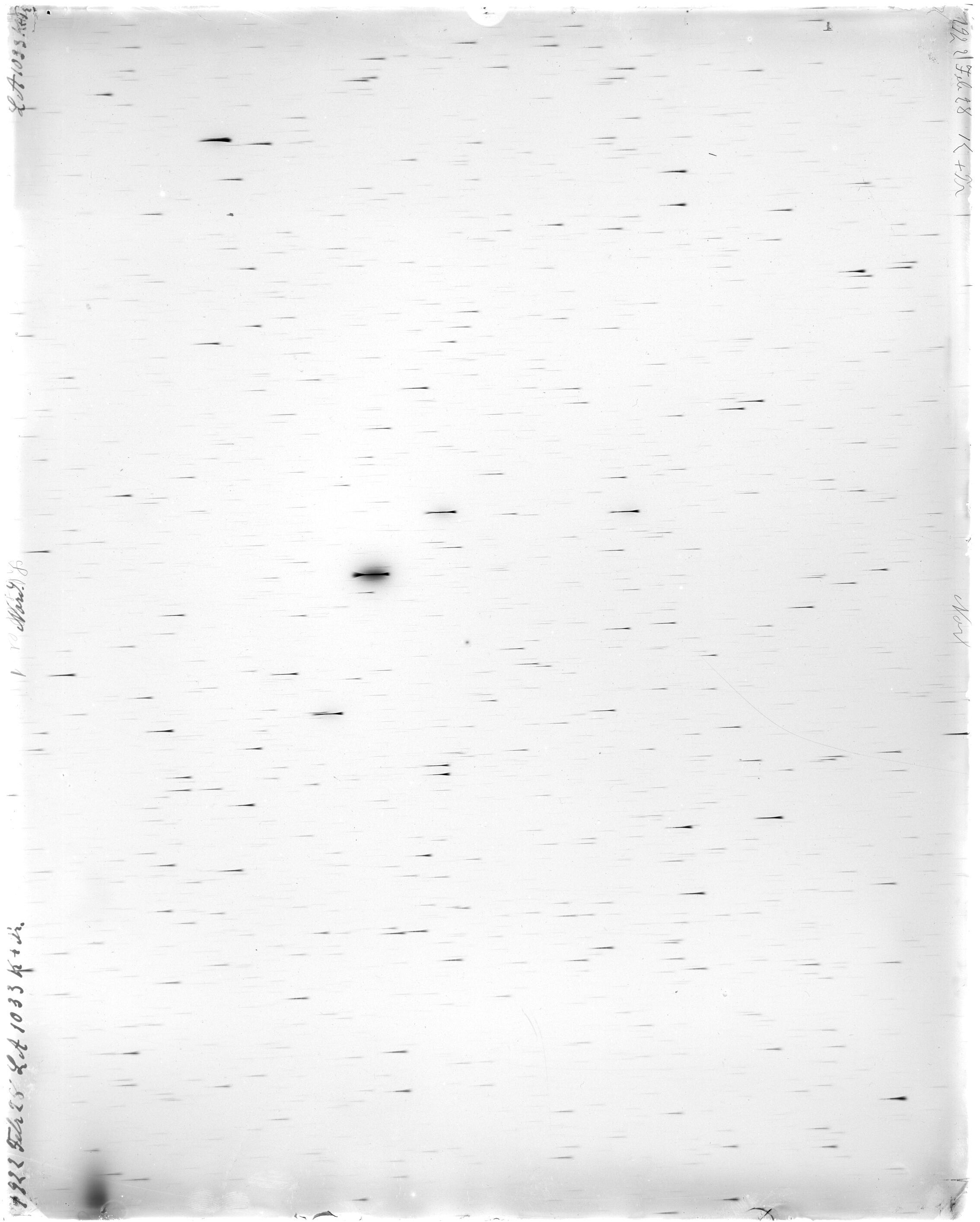 Scan LA01033
