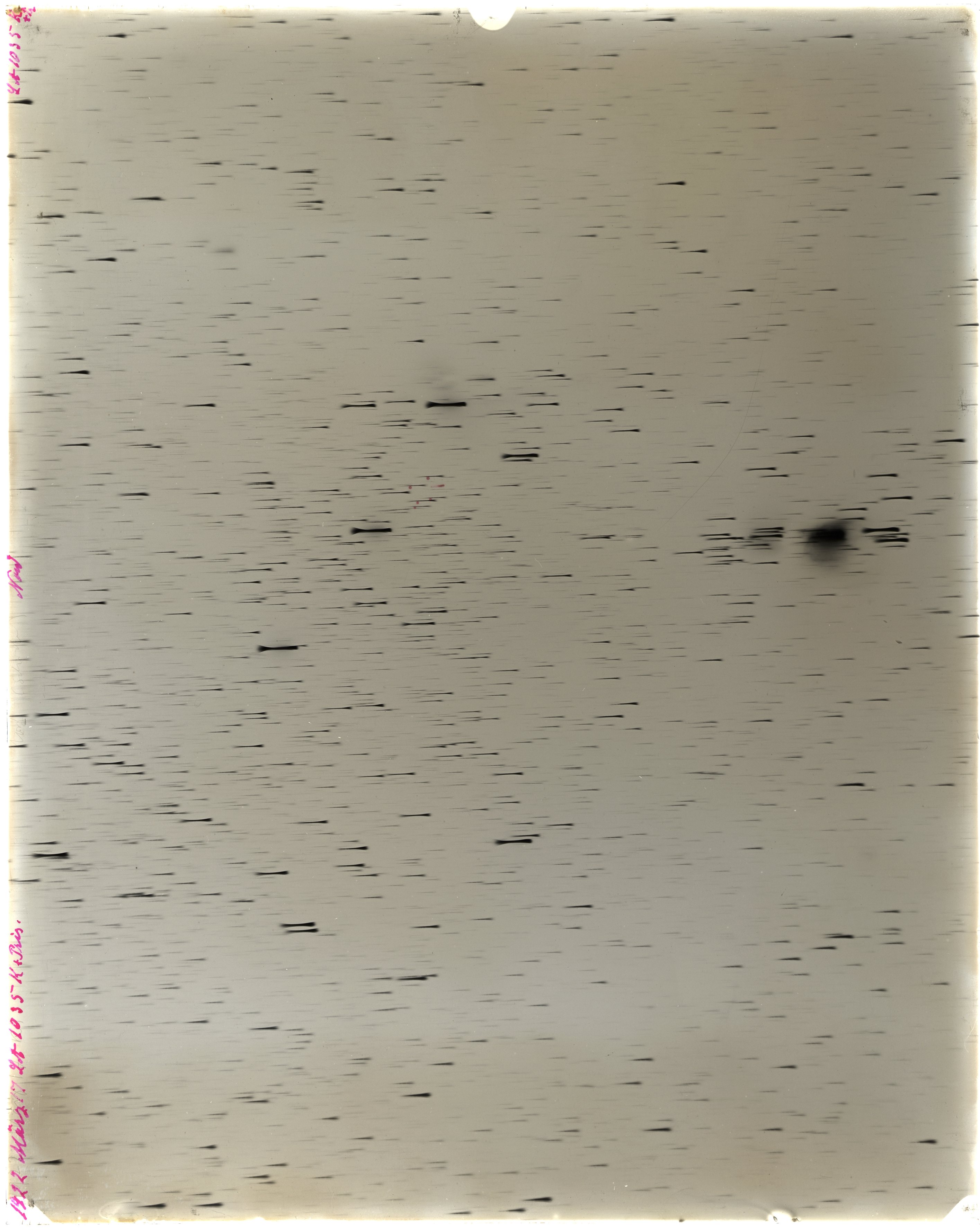 Scan LA01035