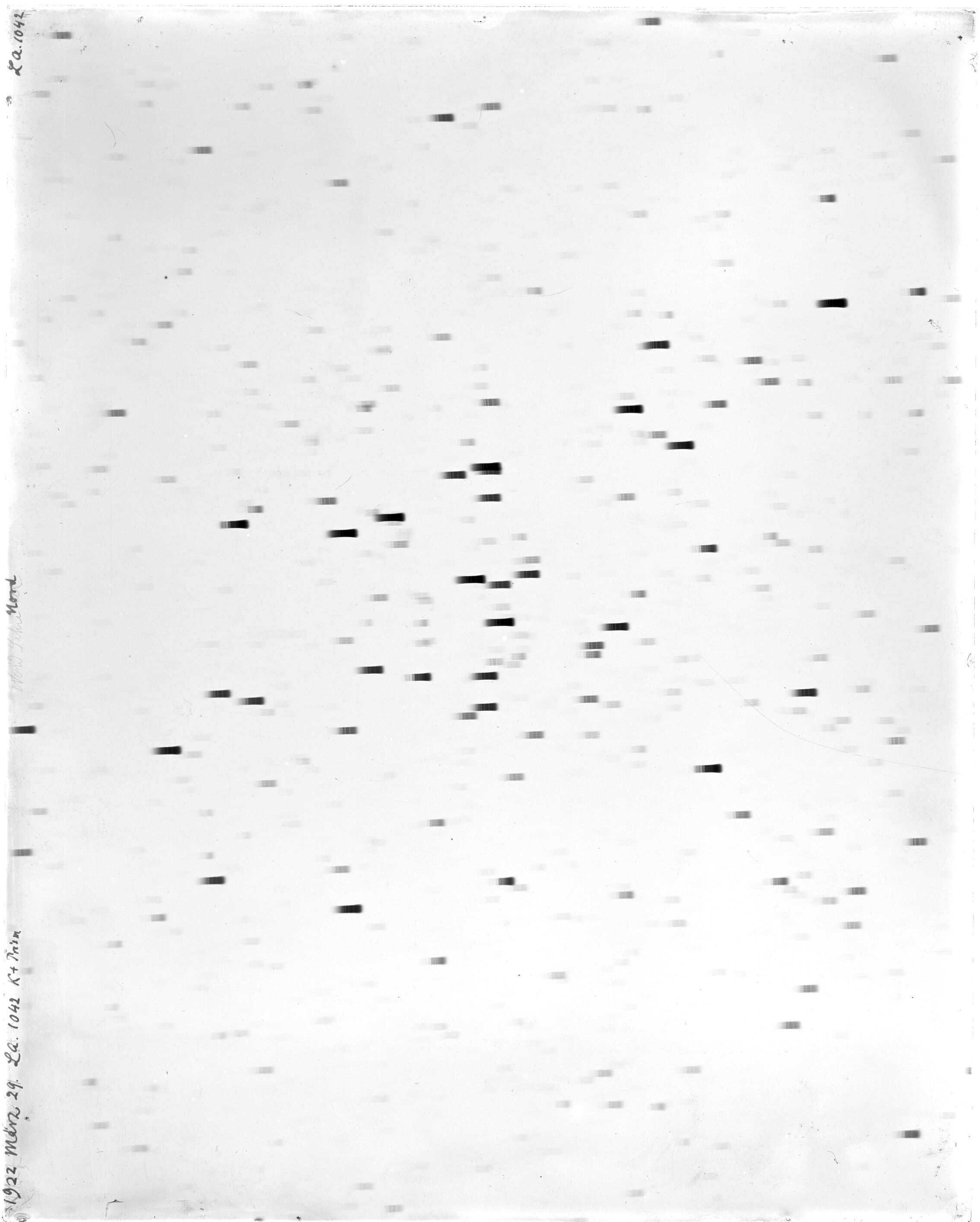 Scan LA01042