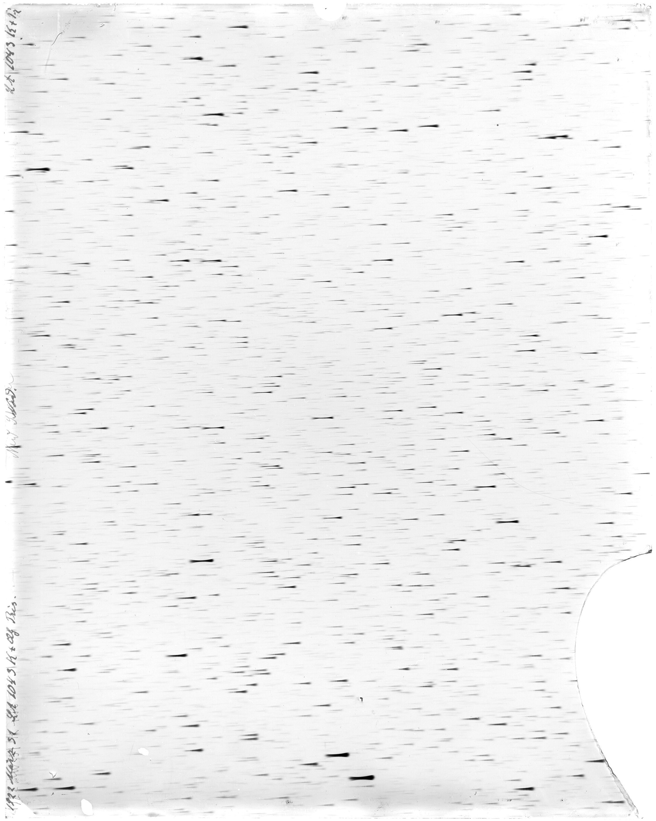 Scan LA01043