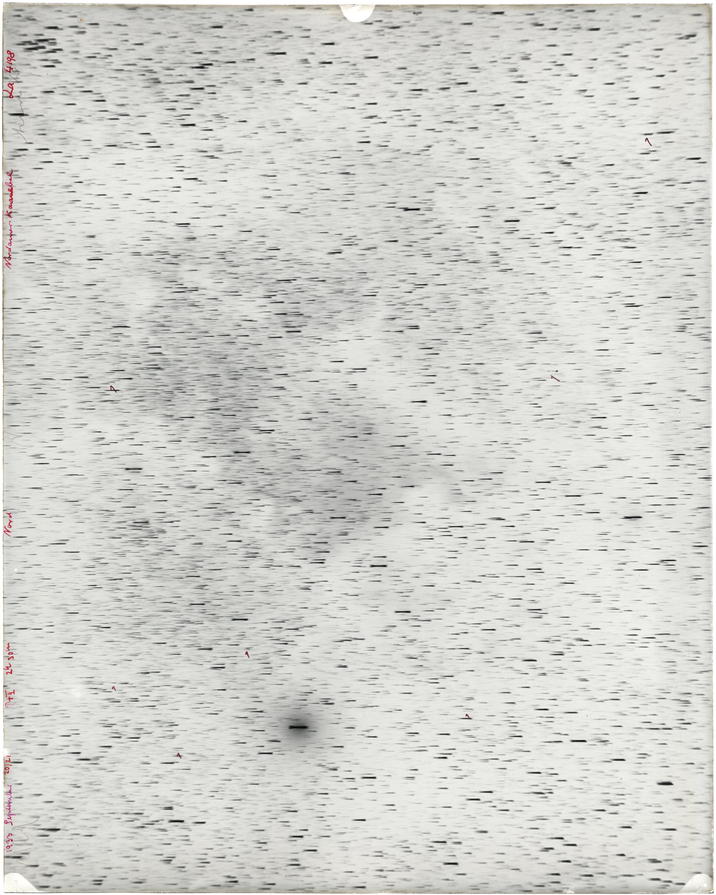 Scan LA04198