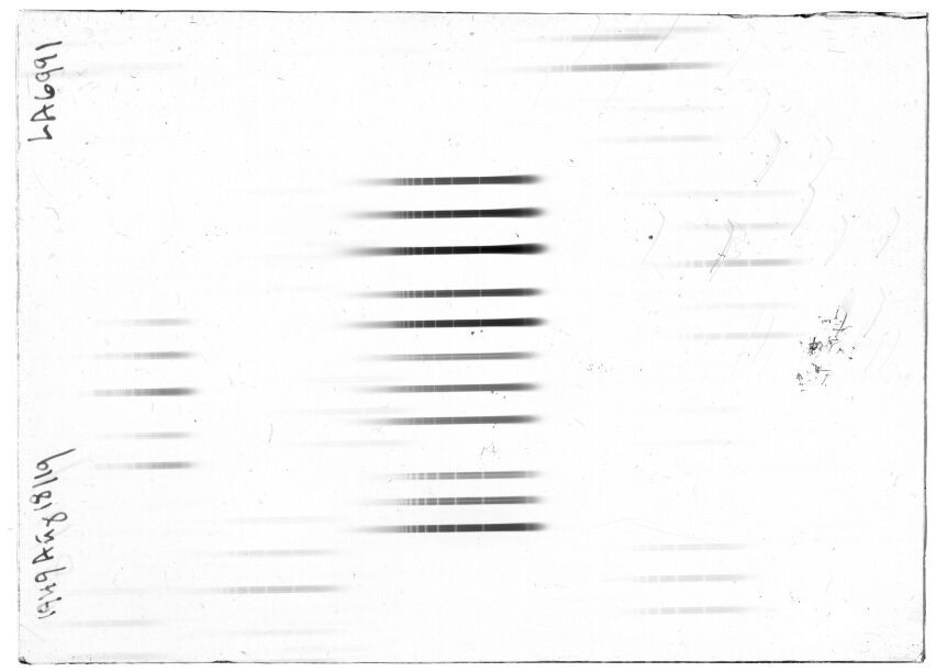 Scan LA06991