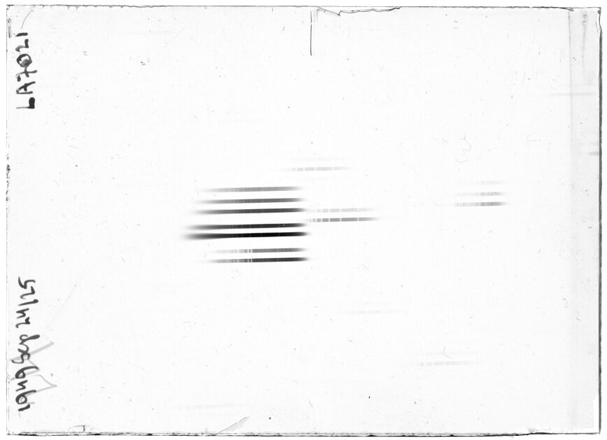 Scan LA07021