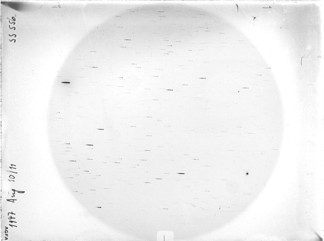 Scan SS00556
