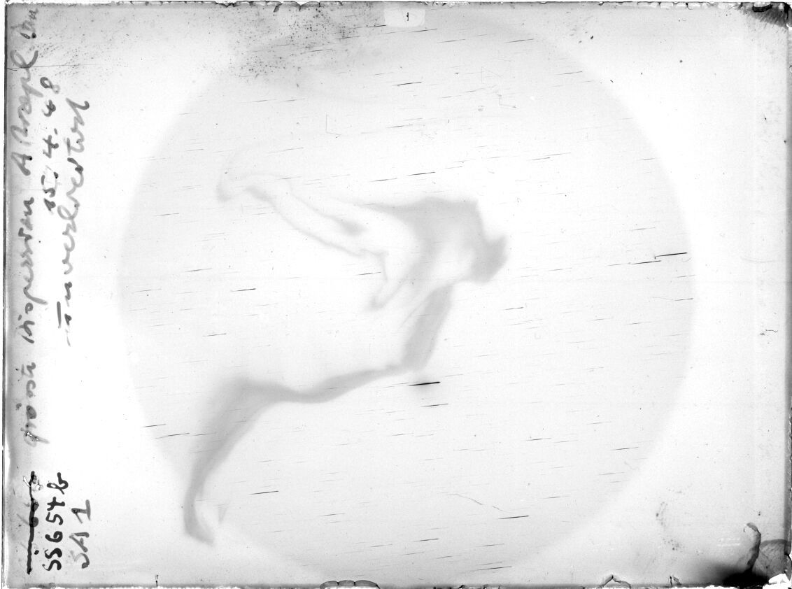 Scan SS00654b
