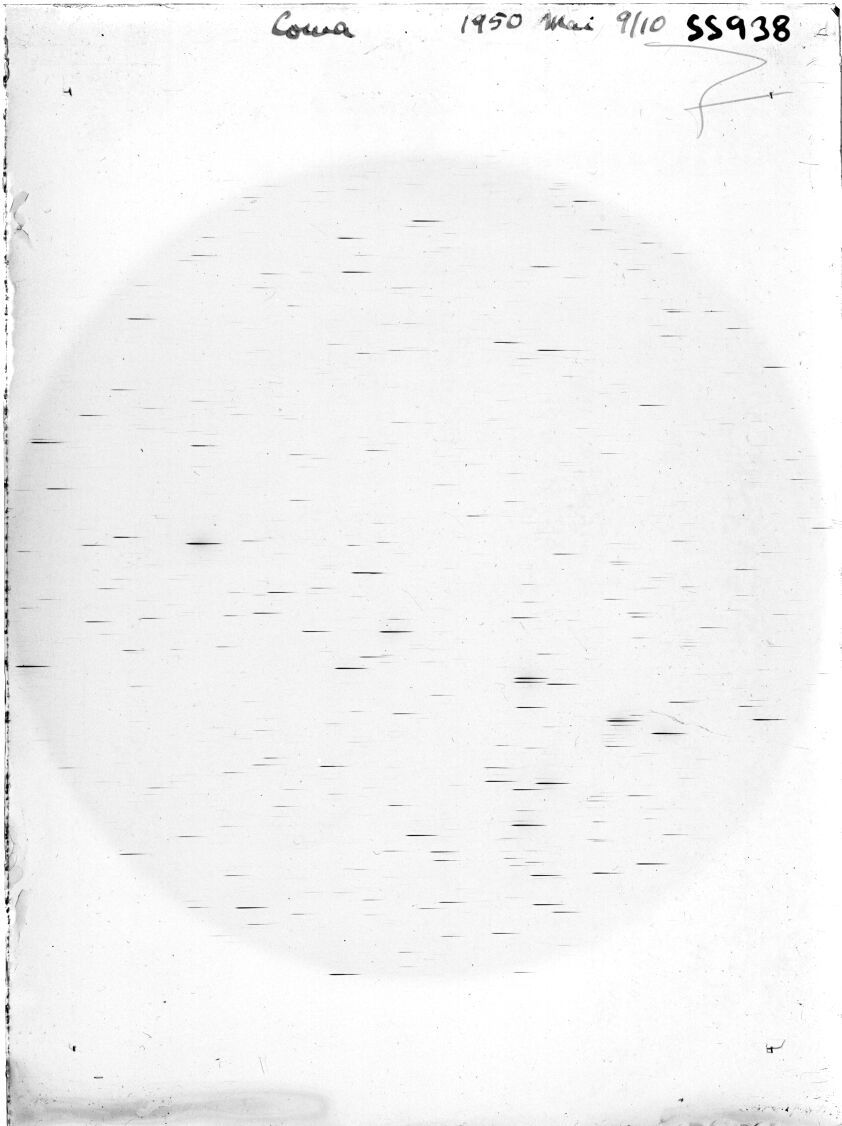 Scan SS00938