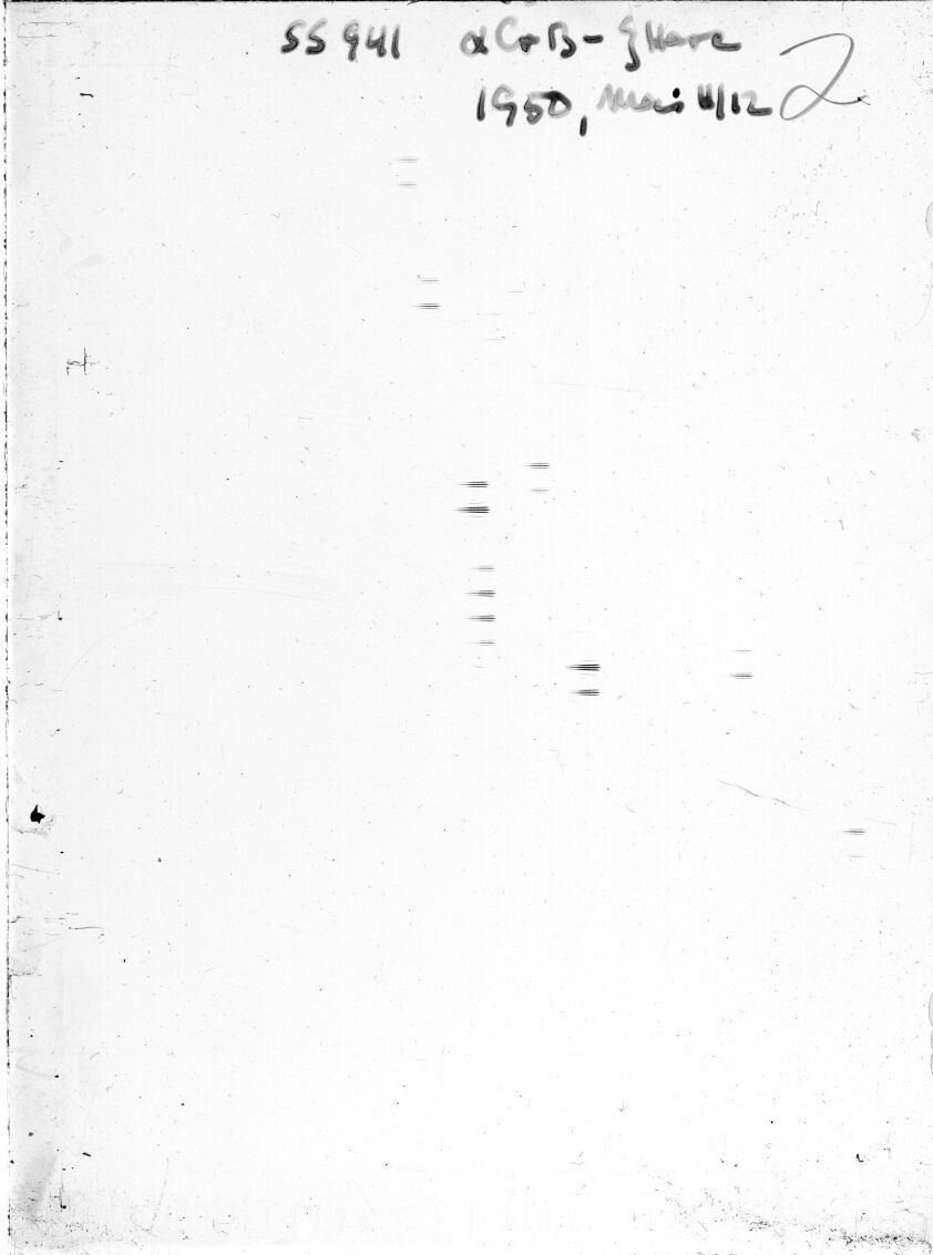 Scan SS00941