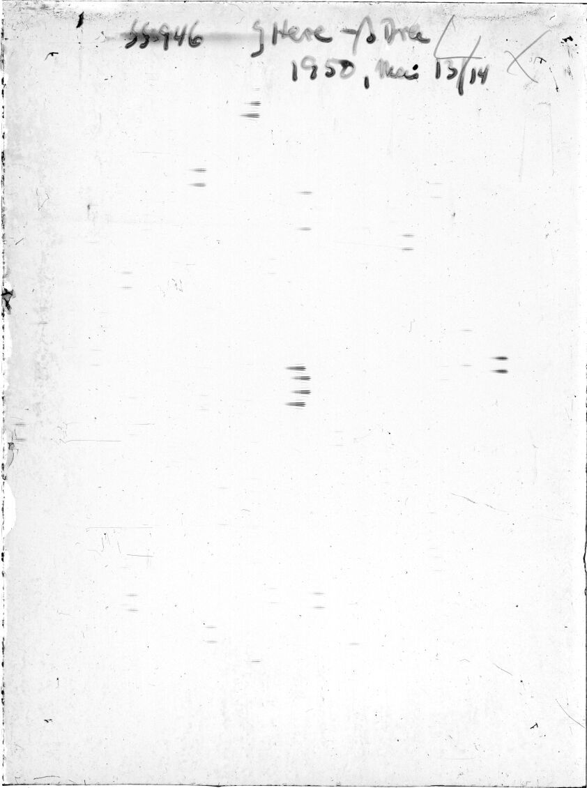 Scan SS00946