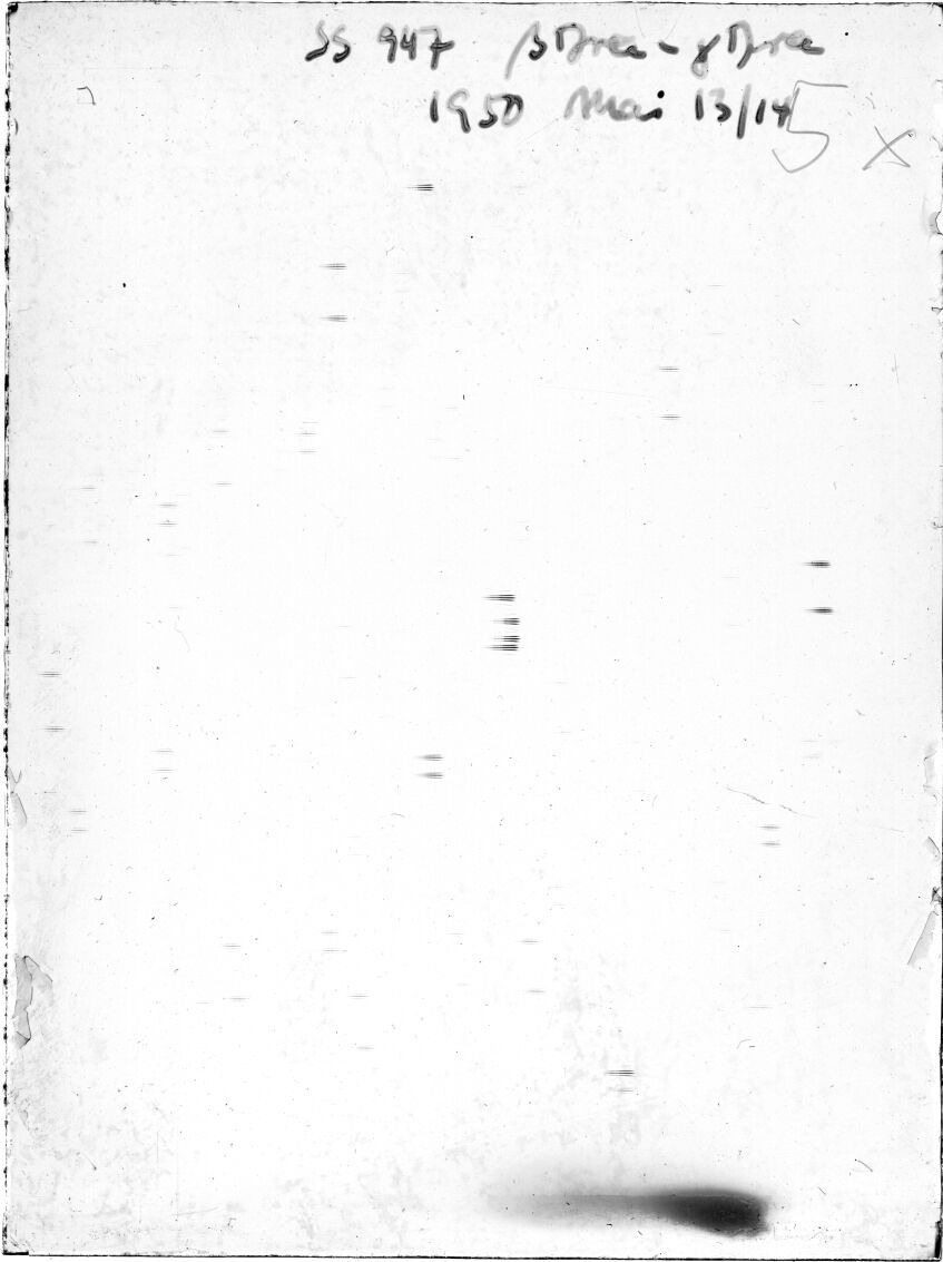 Scan SS00947