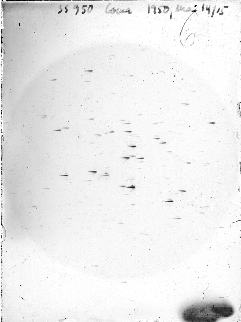 Scan SS00950